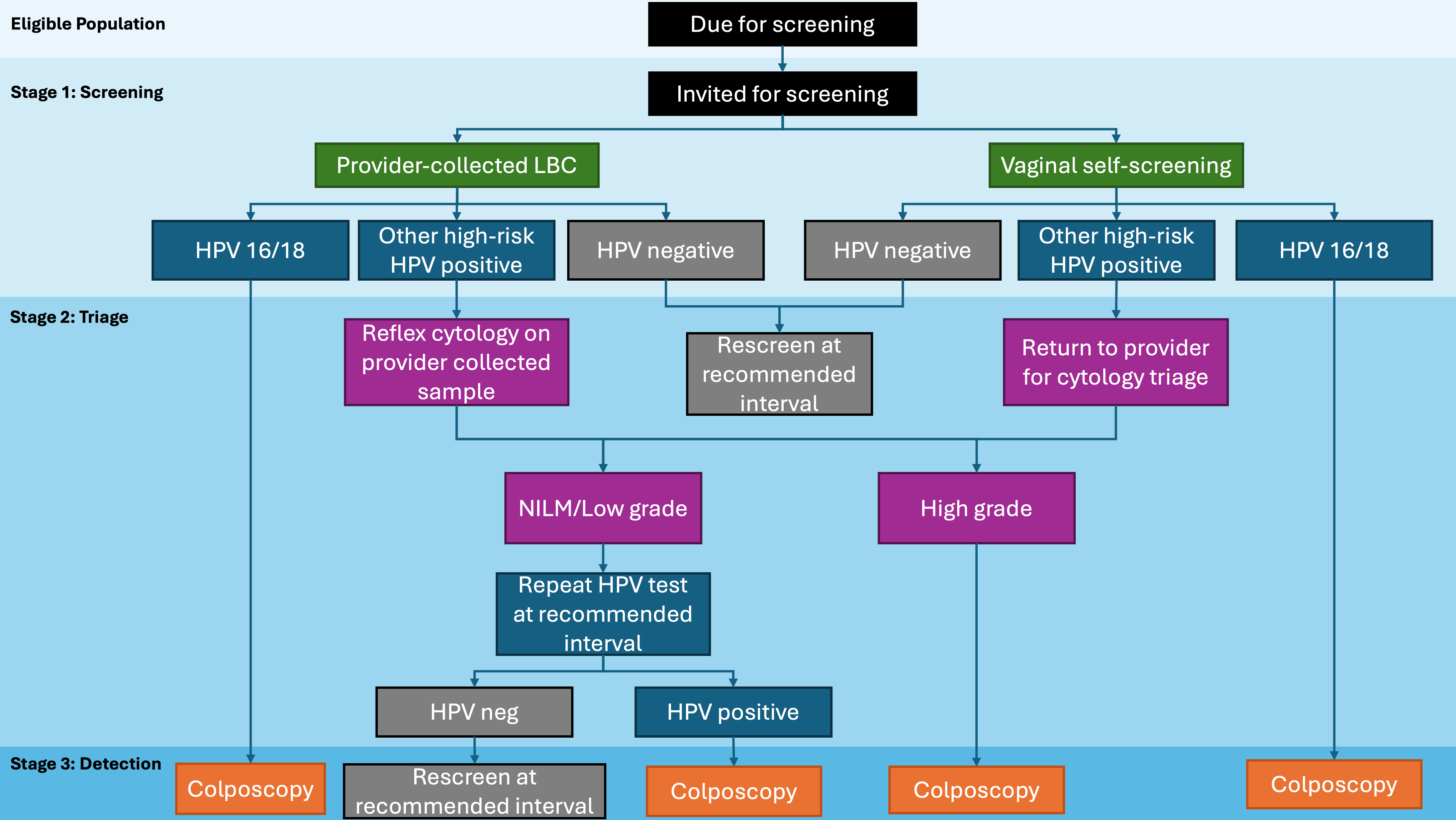 Curroncol 32 00407 g002