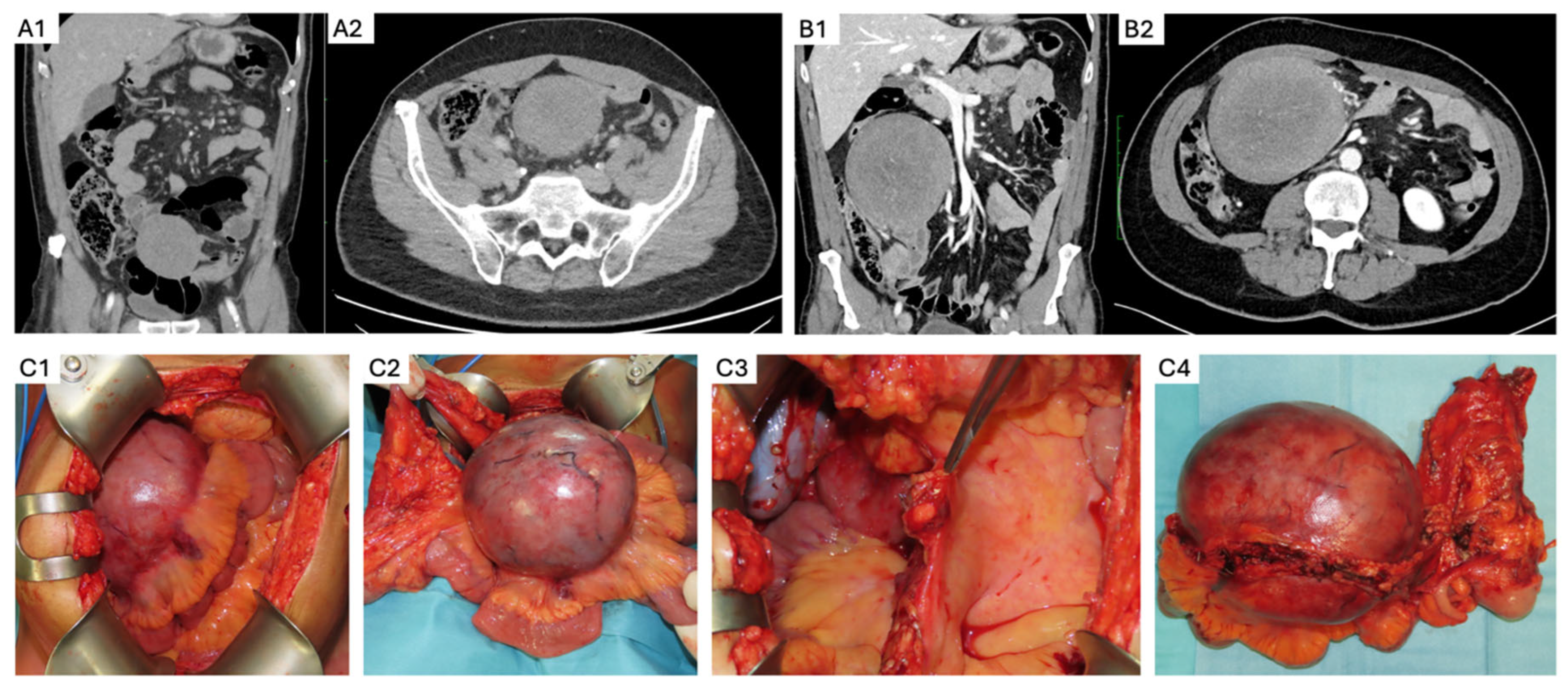 Curroncol 32 00408 g003