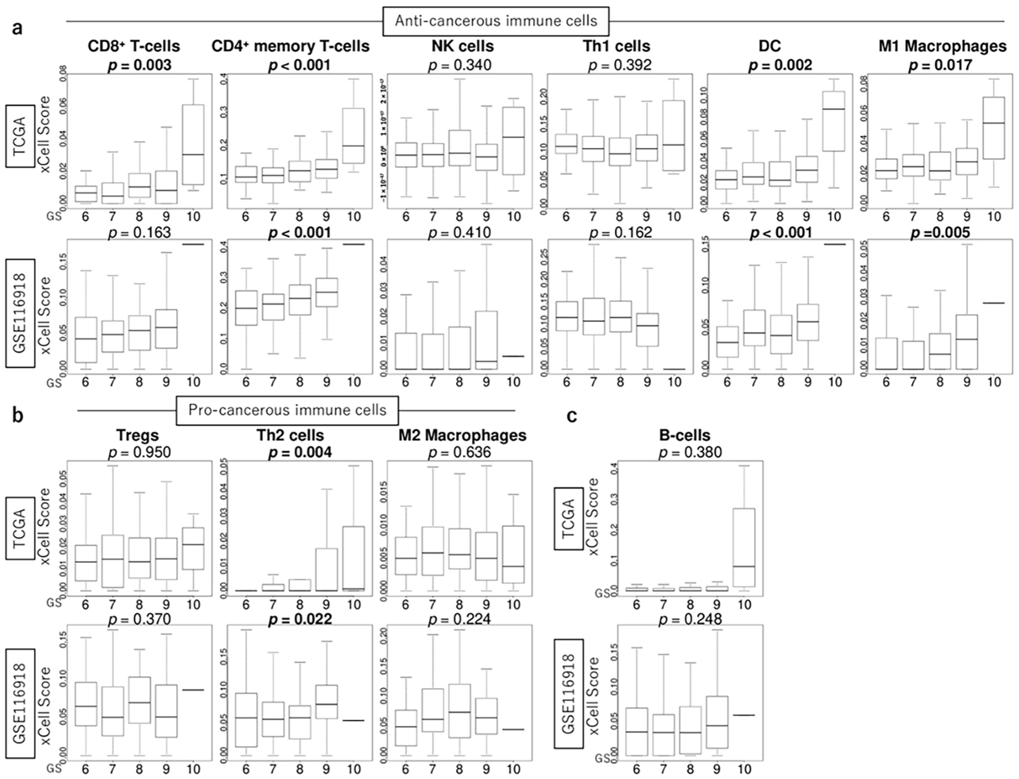 Curroncol 32 00409 g004