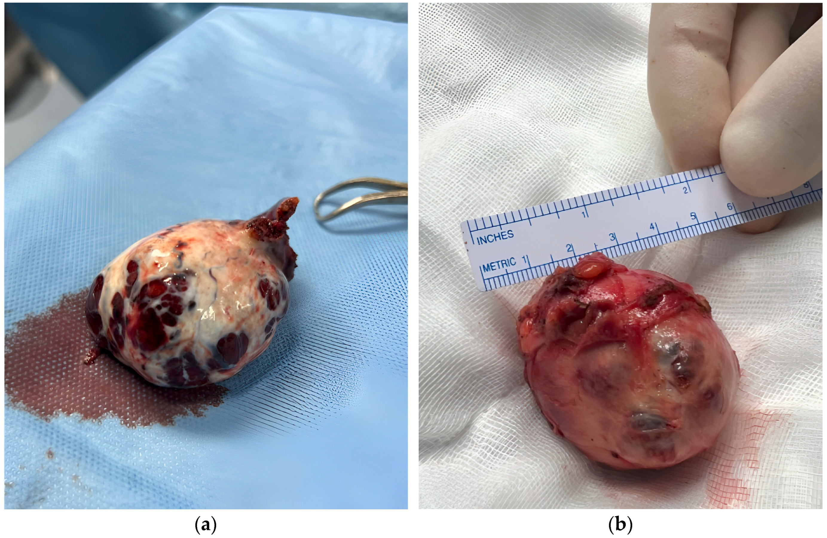 Curroncol 32 00429 g001