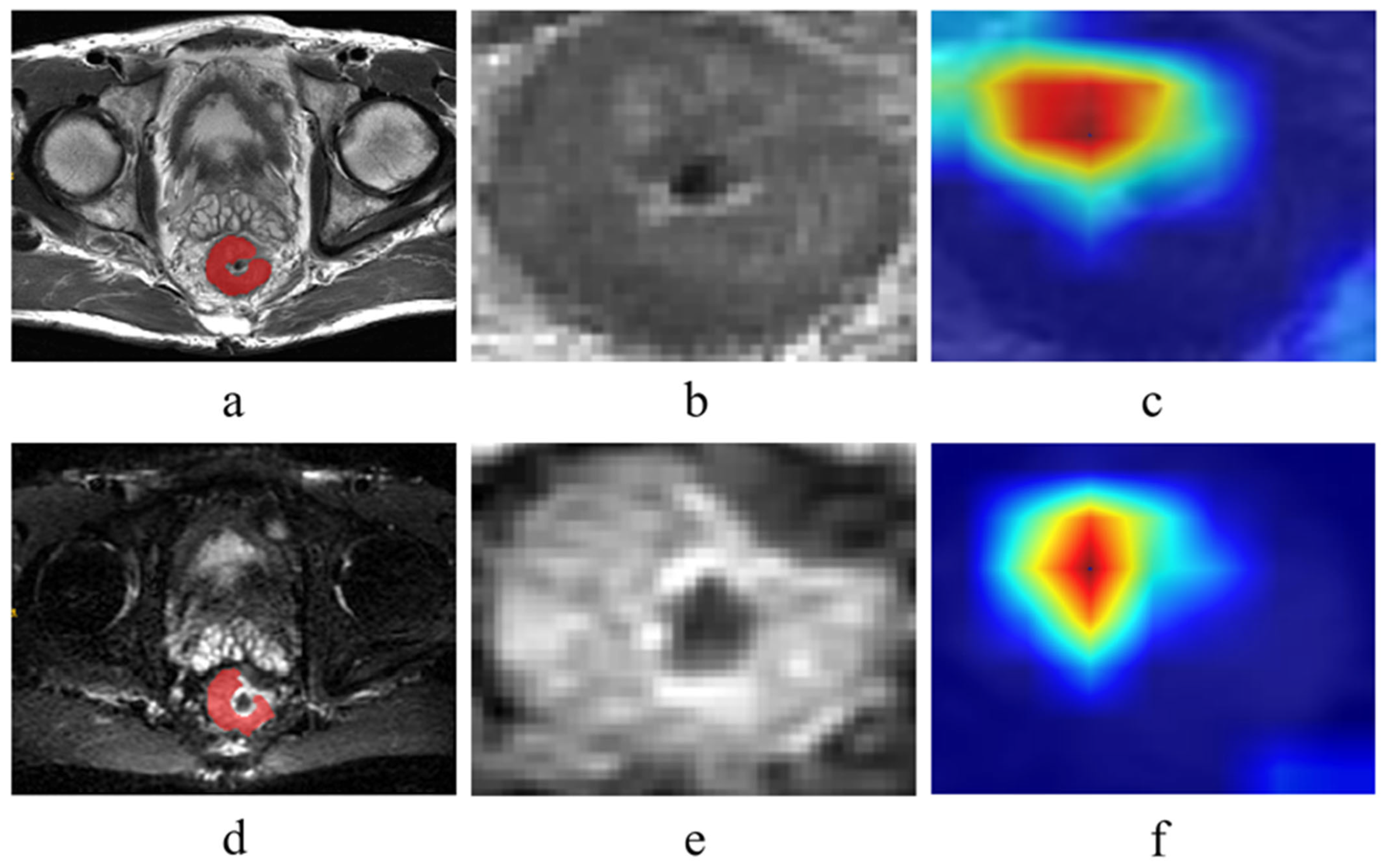 Curroncol 32 00431 g002