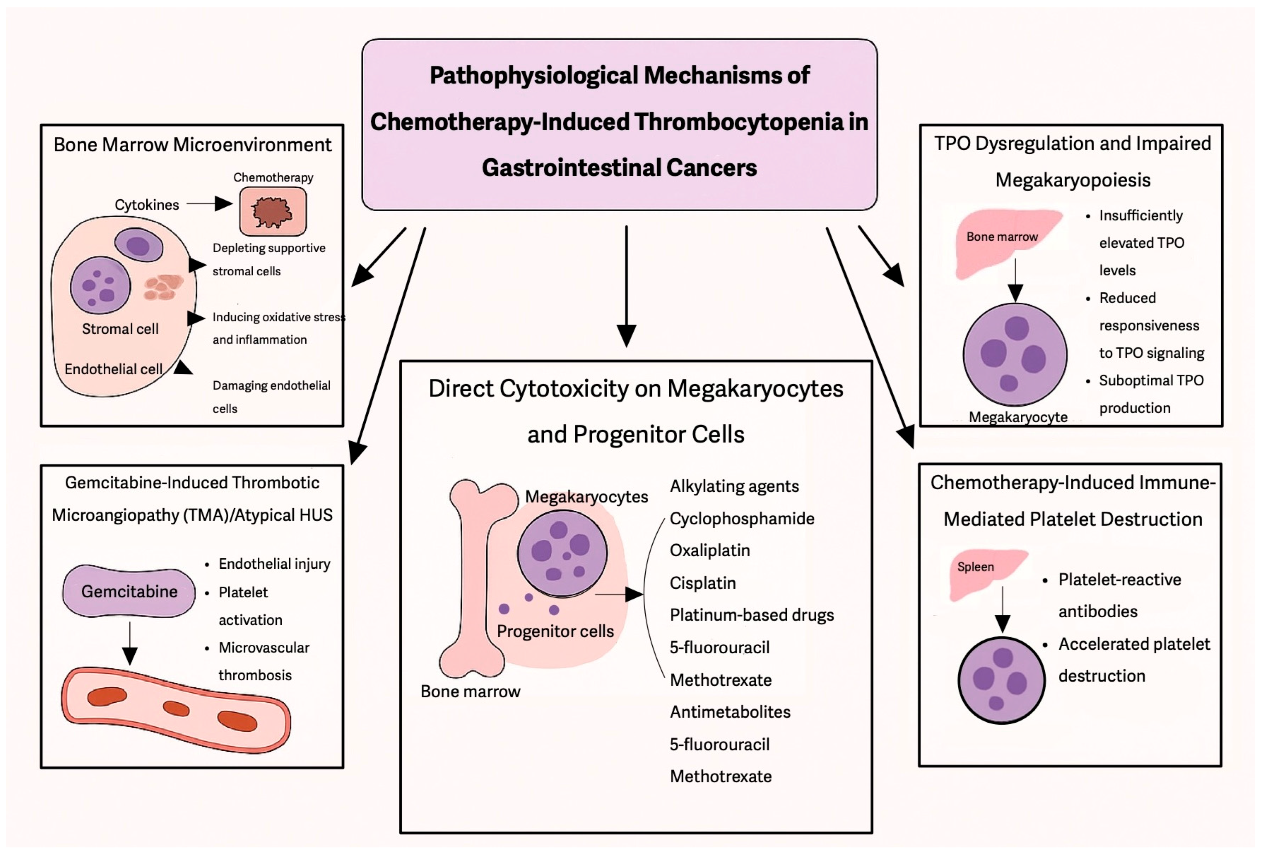 Curroncol 32 00455 g001