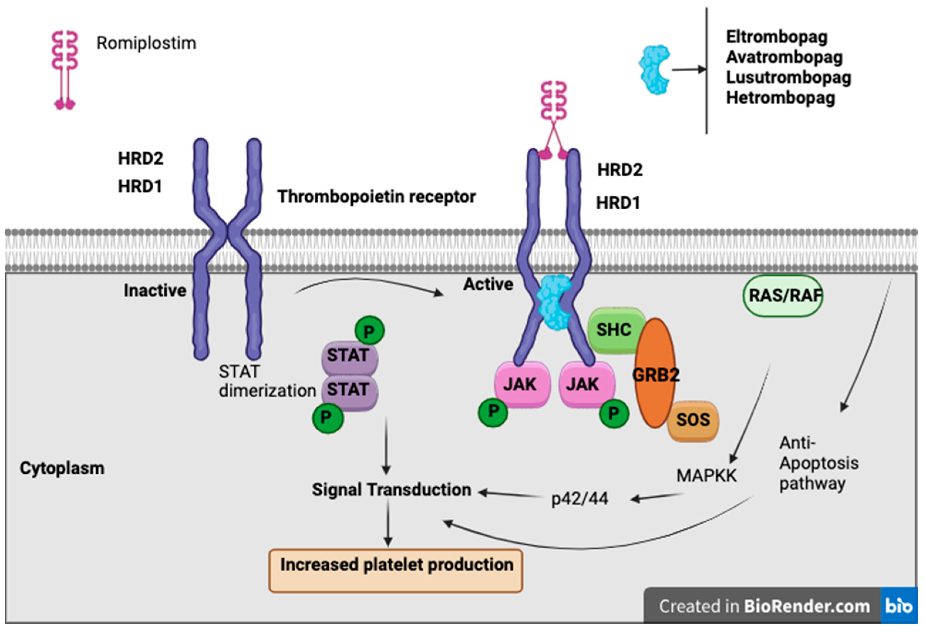 Curroncol 32 00455 g003