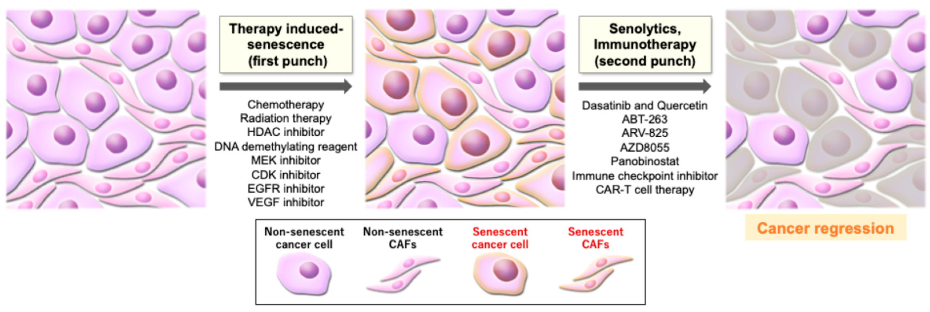Curroncol 32 00467 g002 Curroncol 32 00467 g002