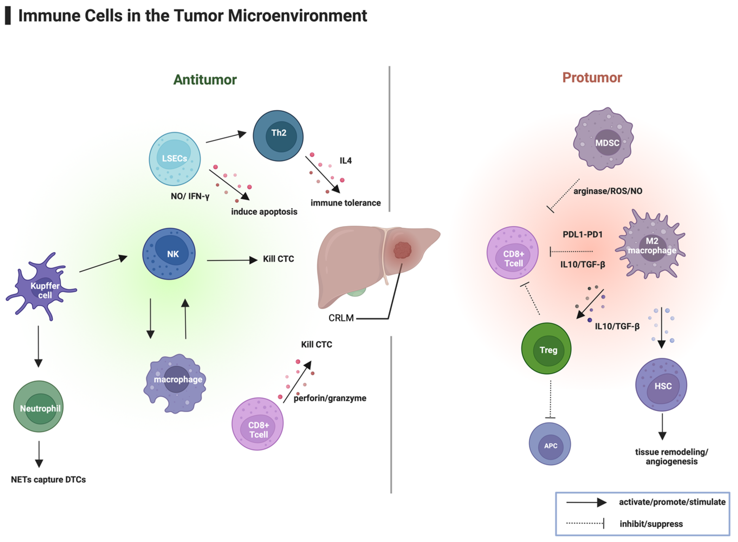Curroncol 32 00493 g001