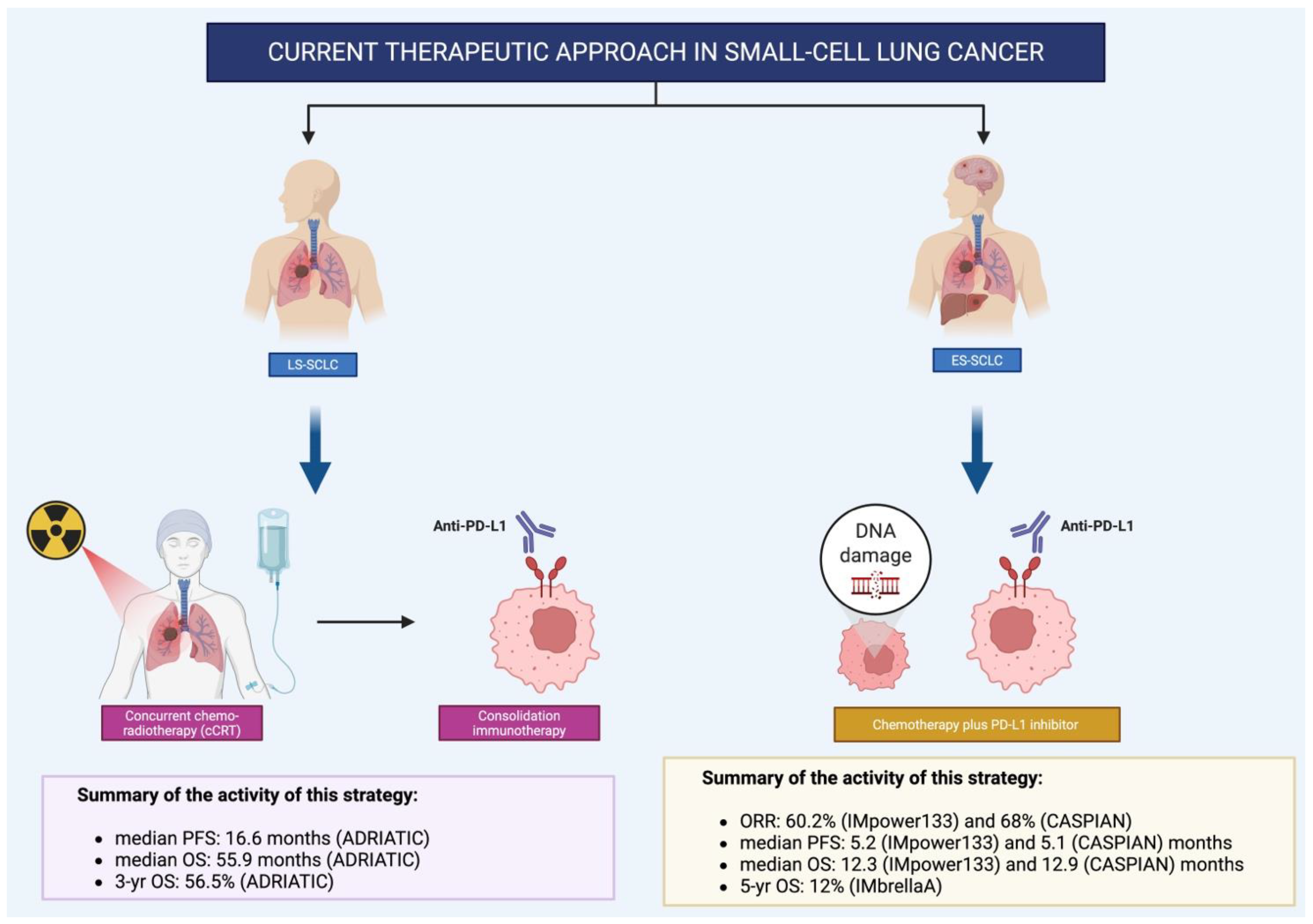 Curroncol 32 00536 g001