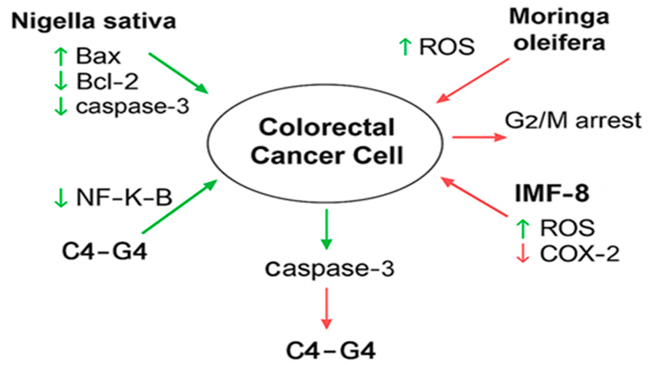 Curroncol 32 00546 g002