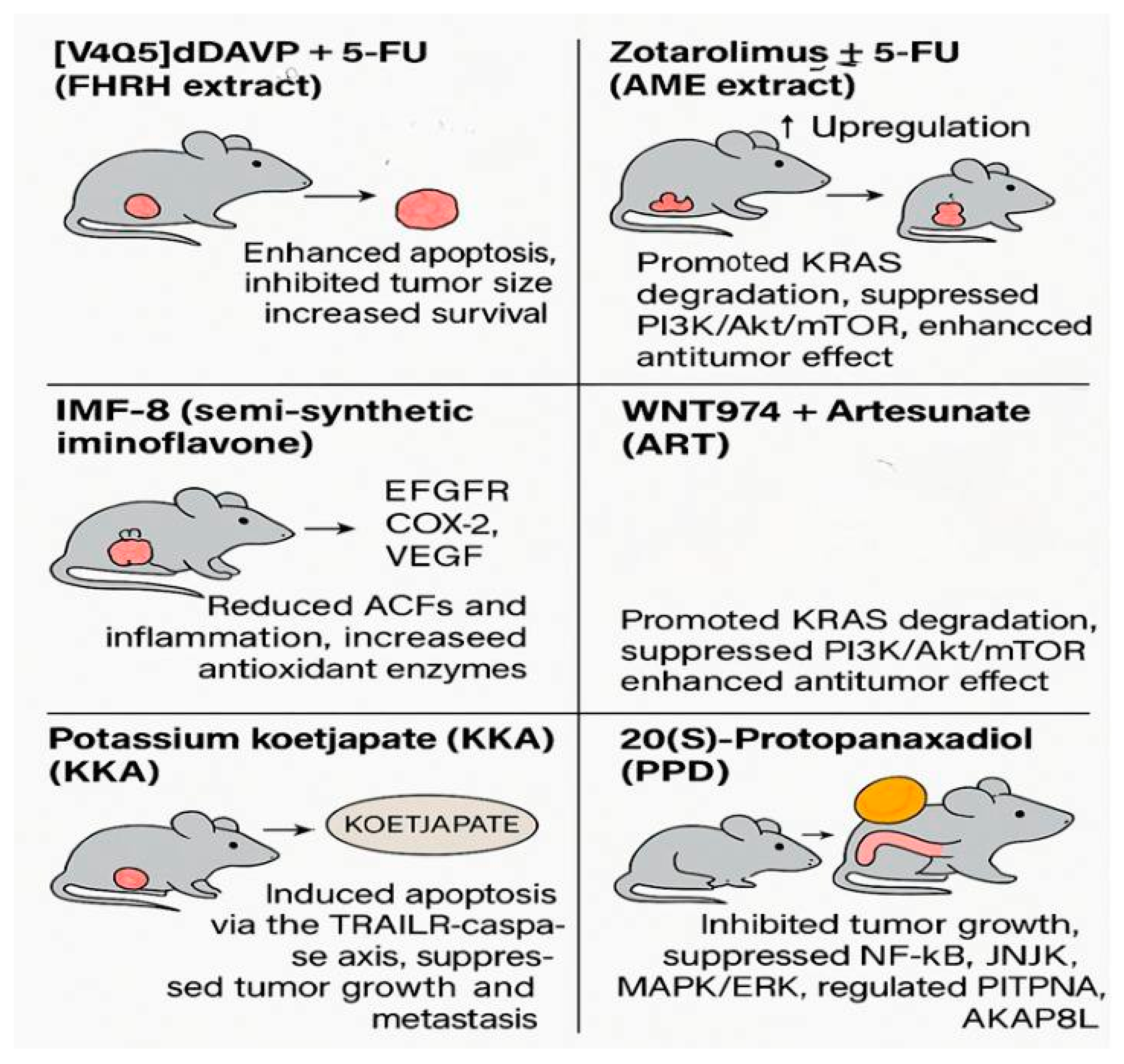 Curroncol 32 00546 g005
