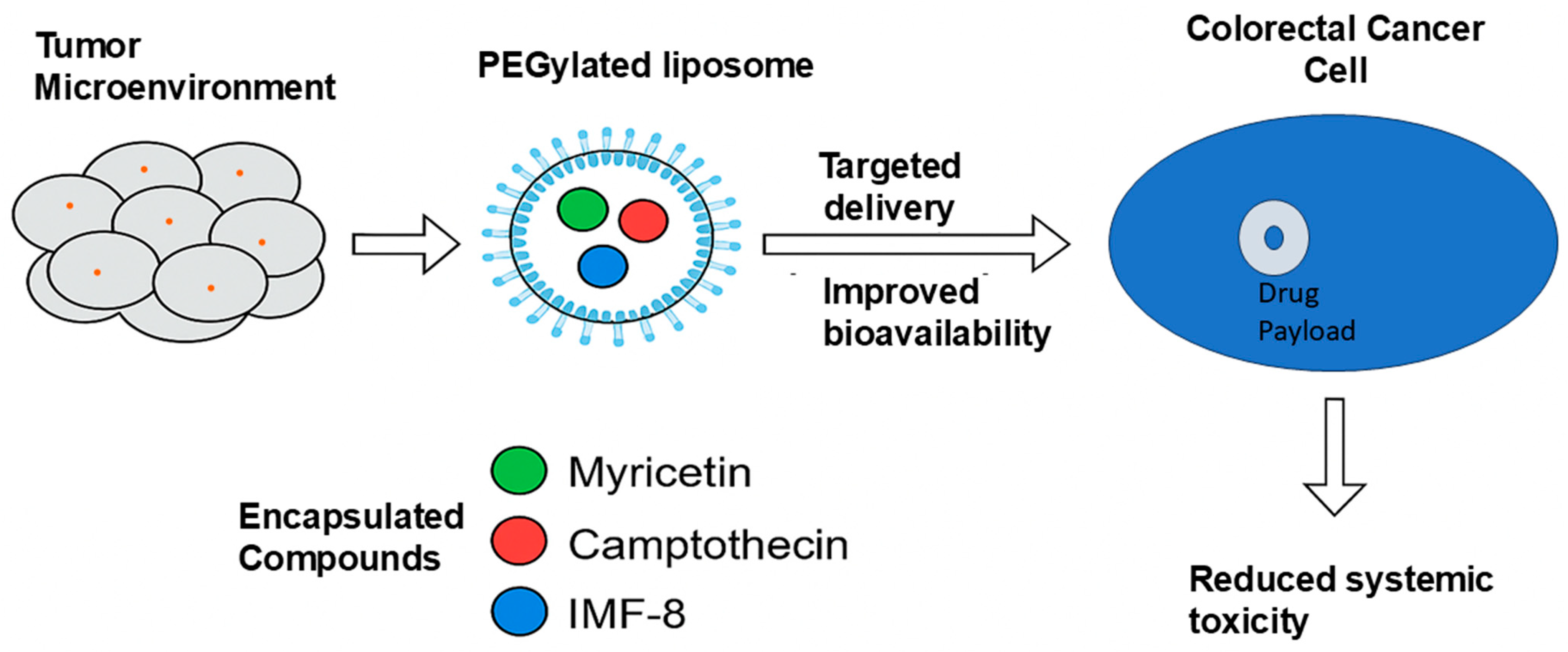 Curroncol 32 00546 g006