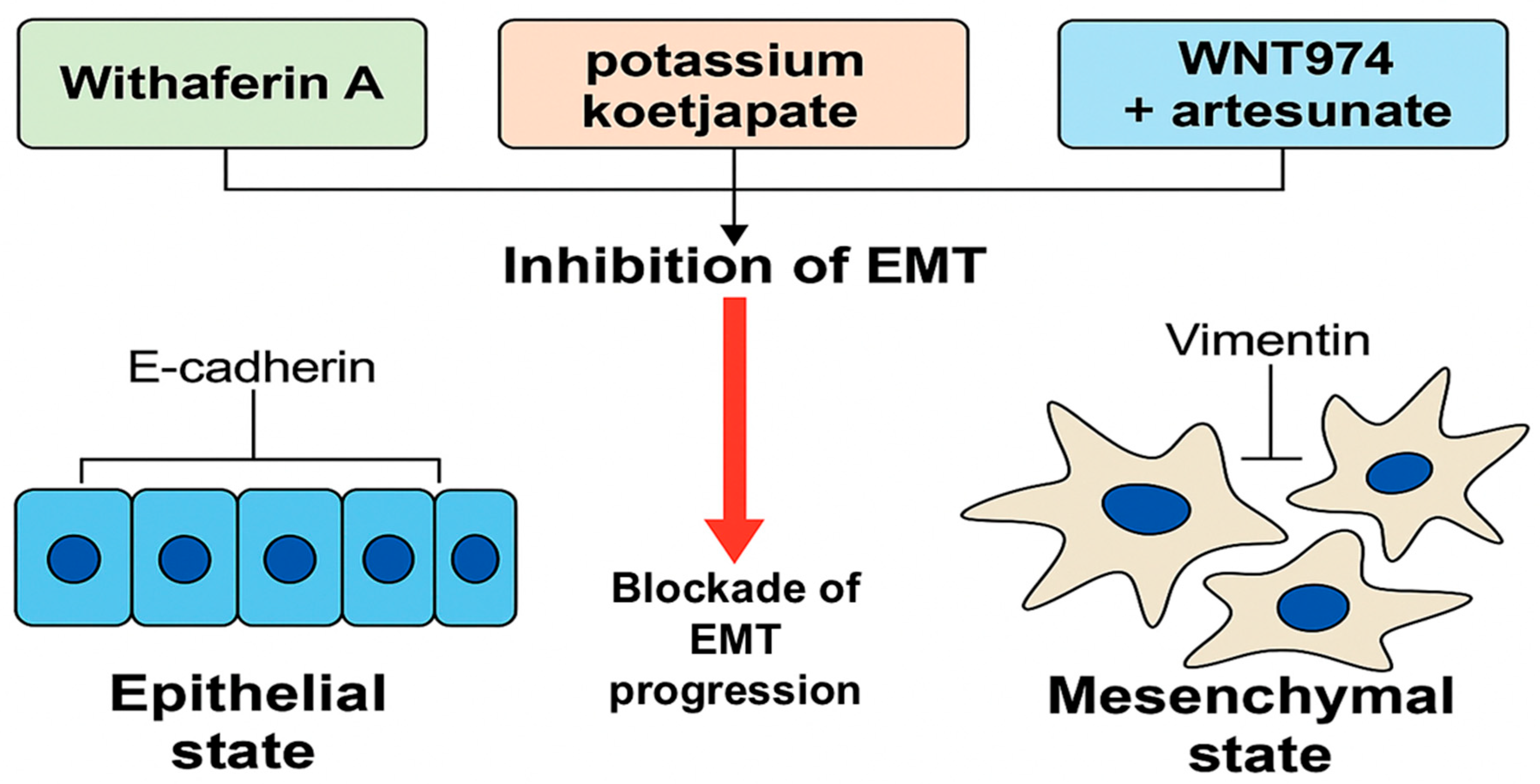 Curroncol 32 00546 g007
