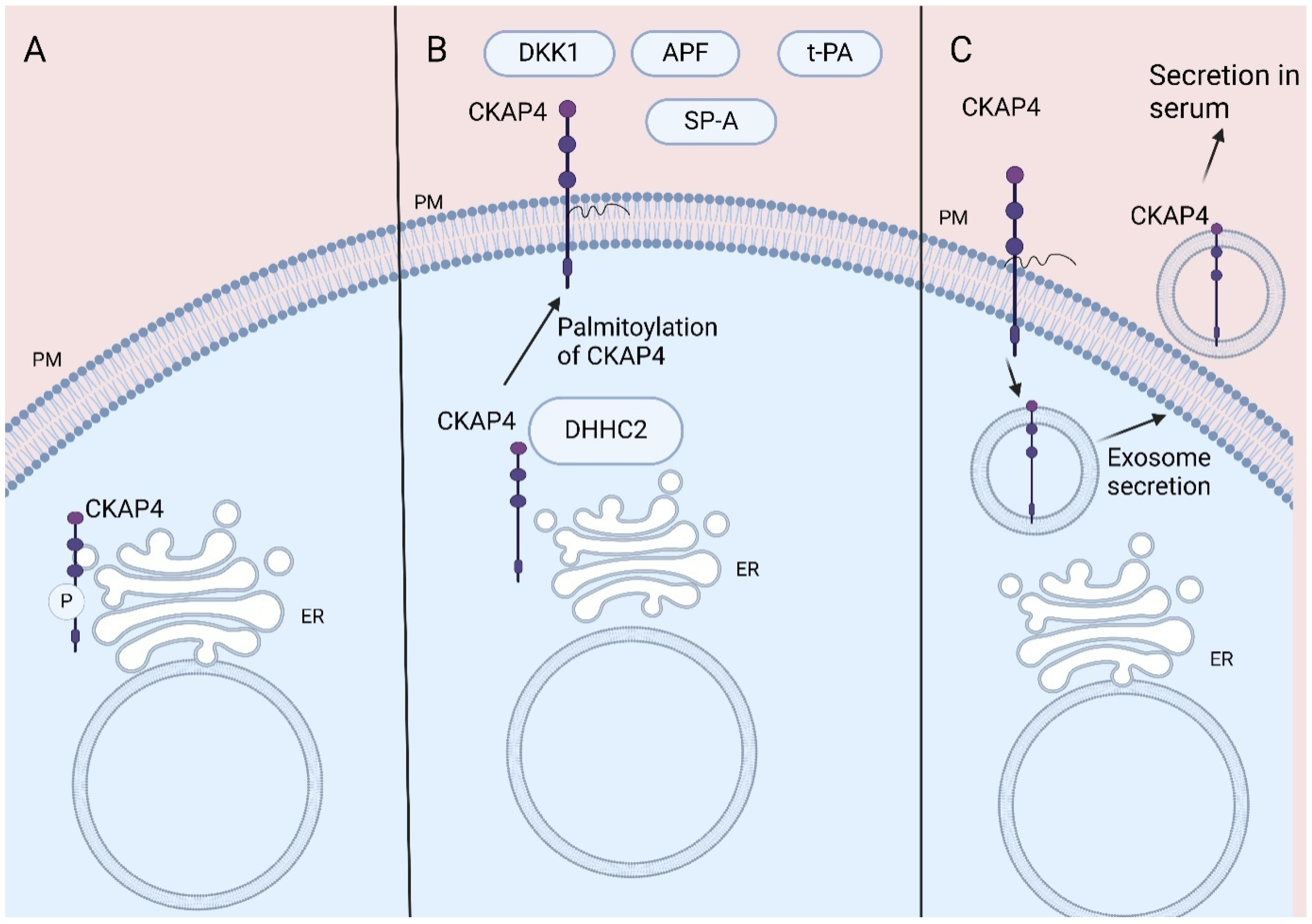 Curroncol 32 00561 g001