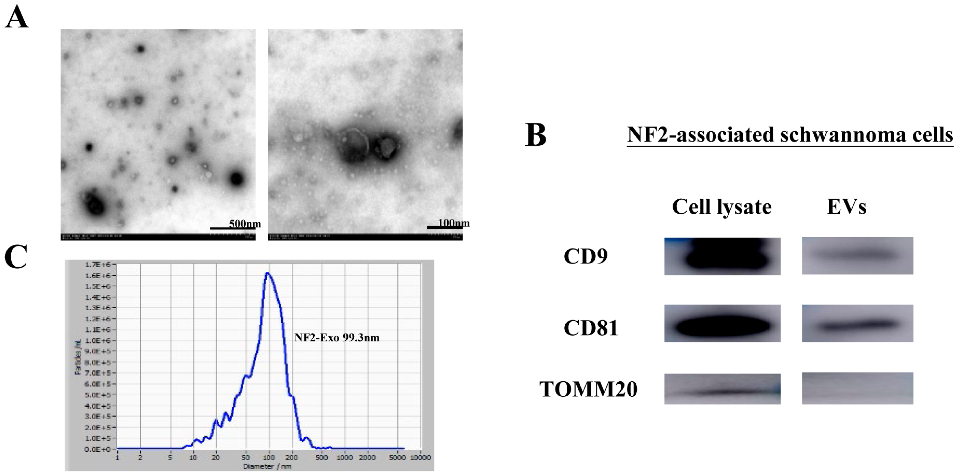Curroncol 32 00569 g001 Curroncol 32 00569 g001