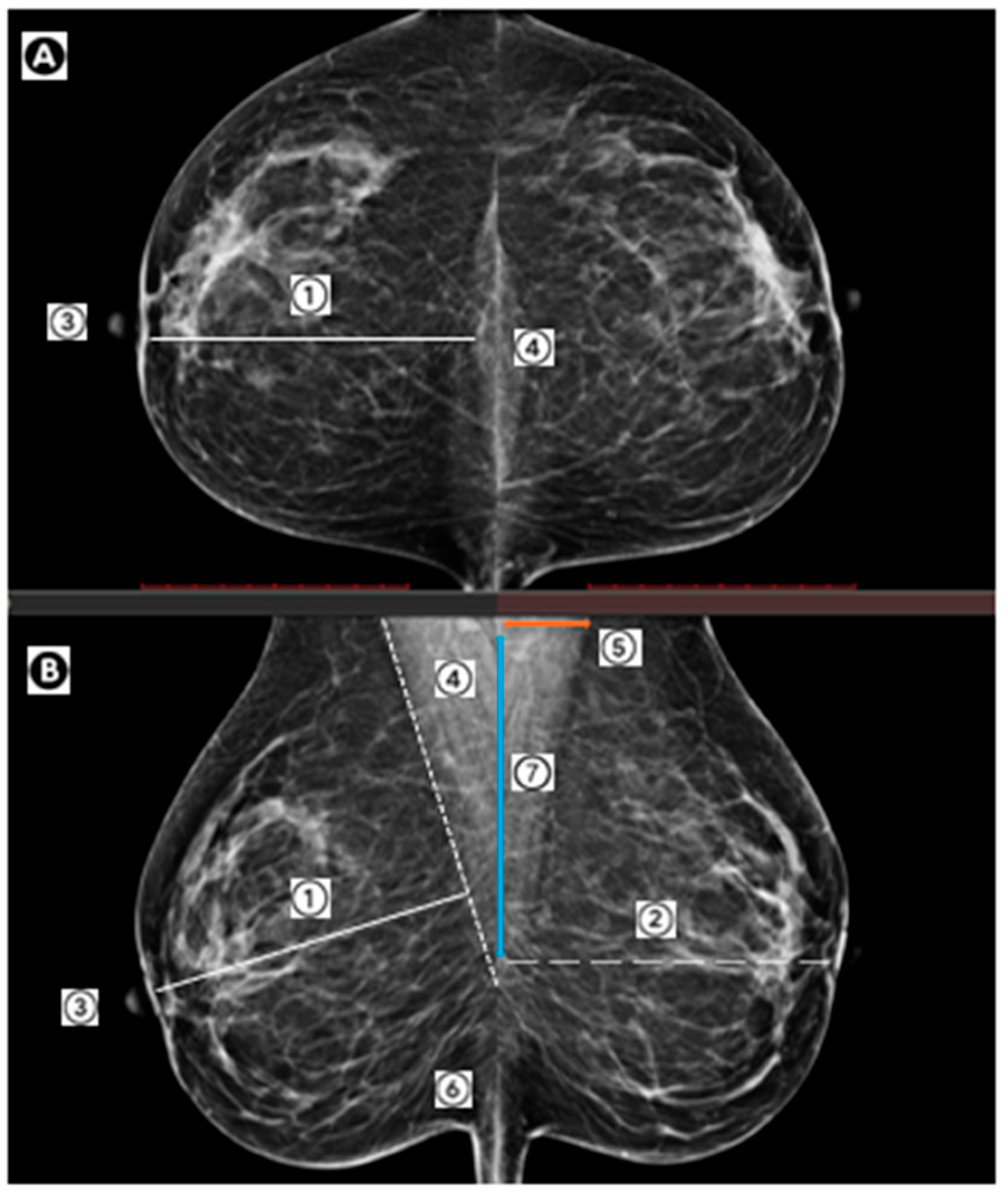 Curroncol 32 00571 g001