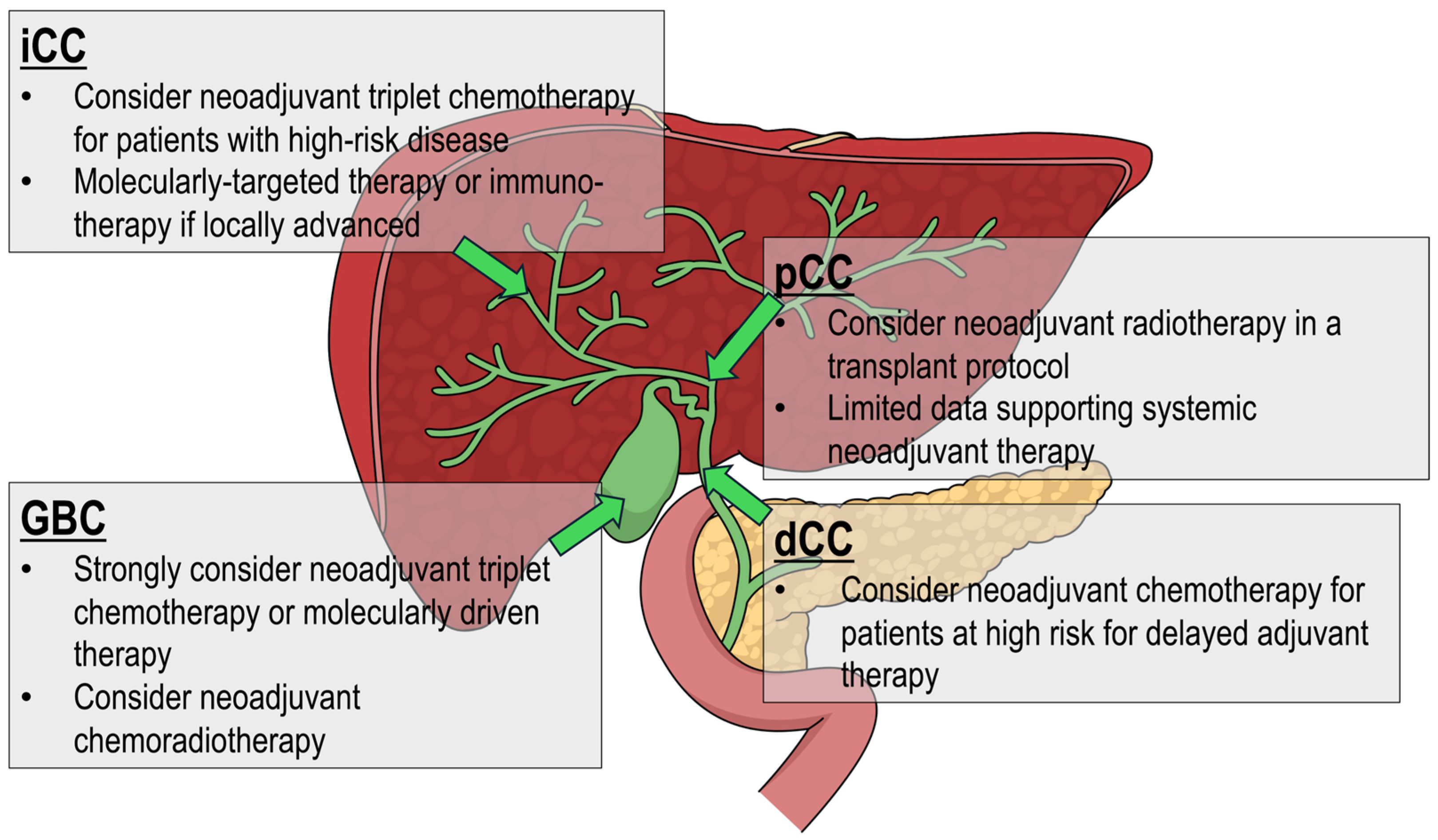 Curroncol 32 00584 g001