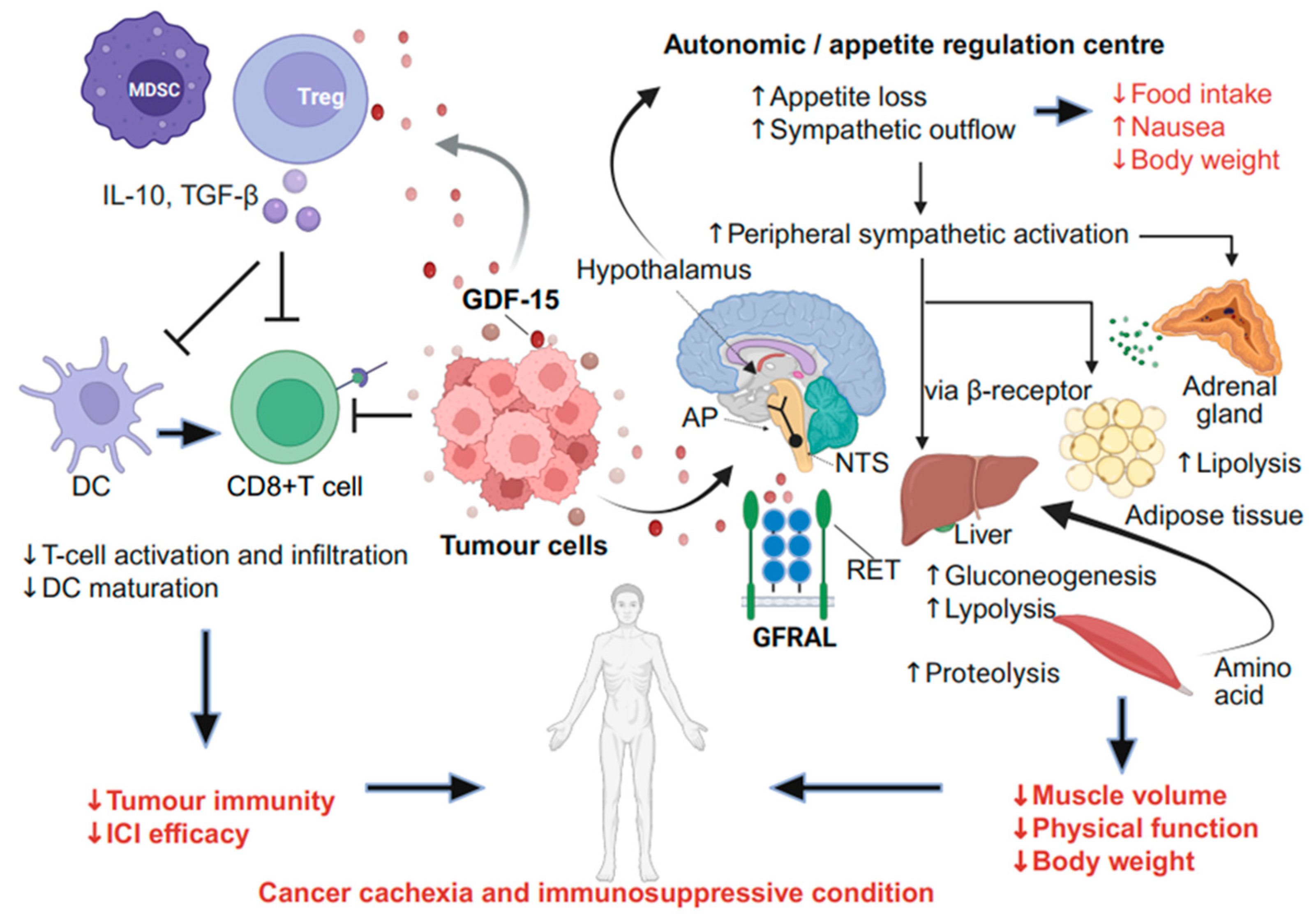 Curroncol 32 00604 g001 Curroncol 32 00604 g001