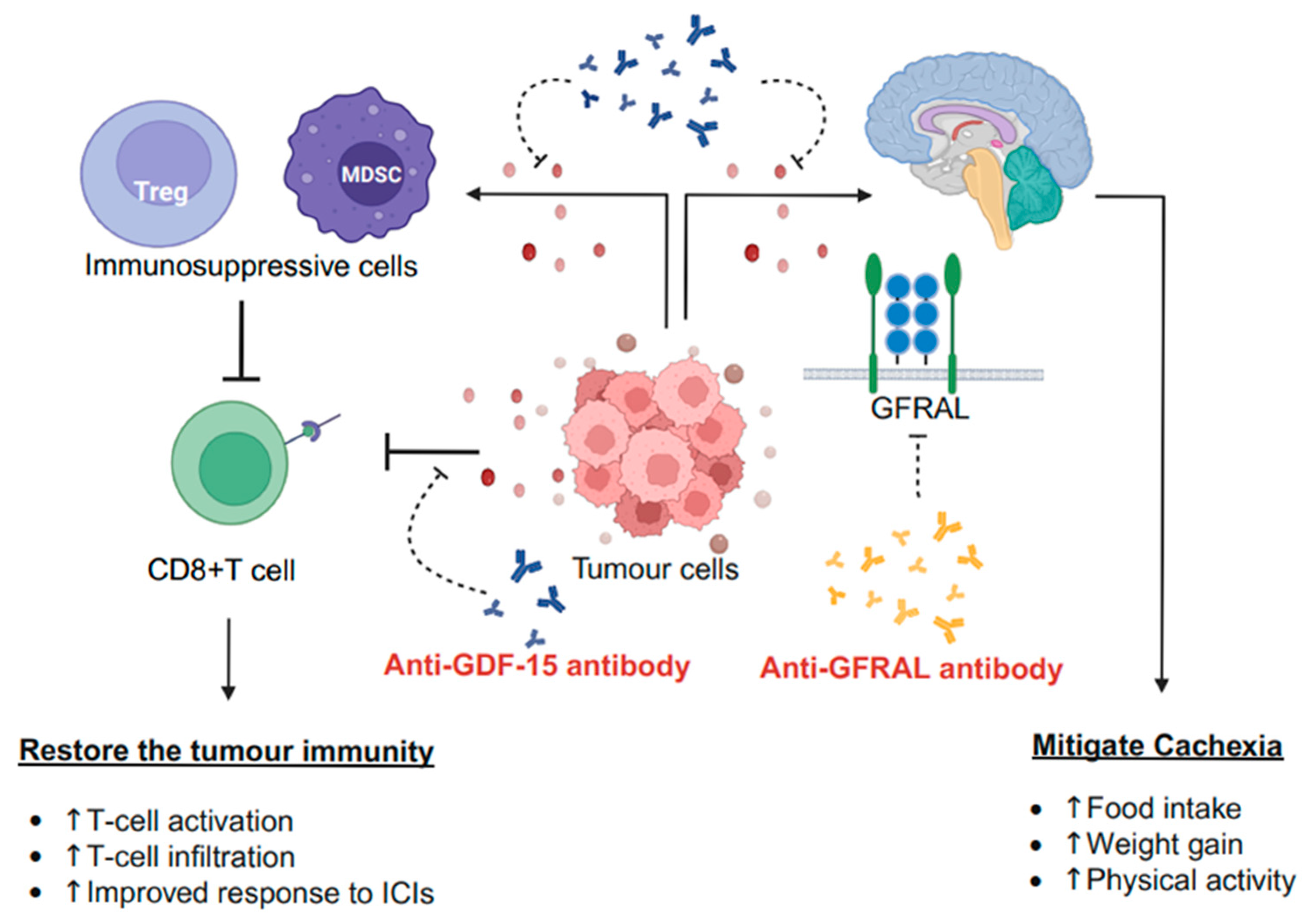Curroncol 32 00604 g002 Curroncol 32 00604 g002