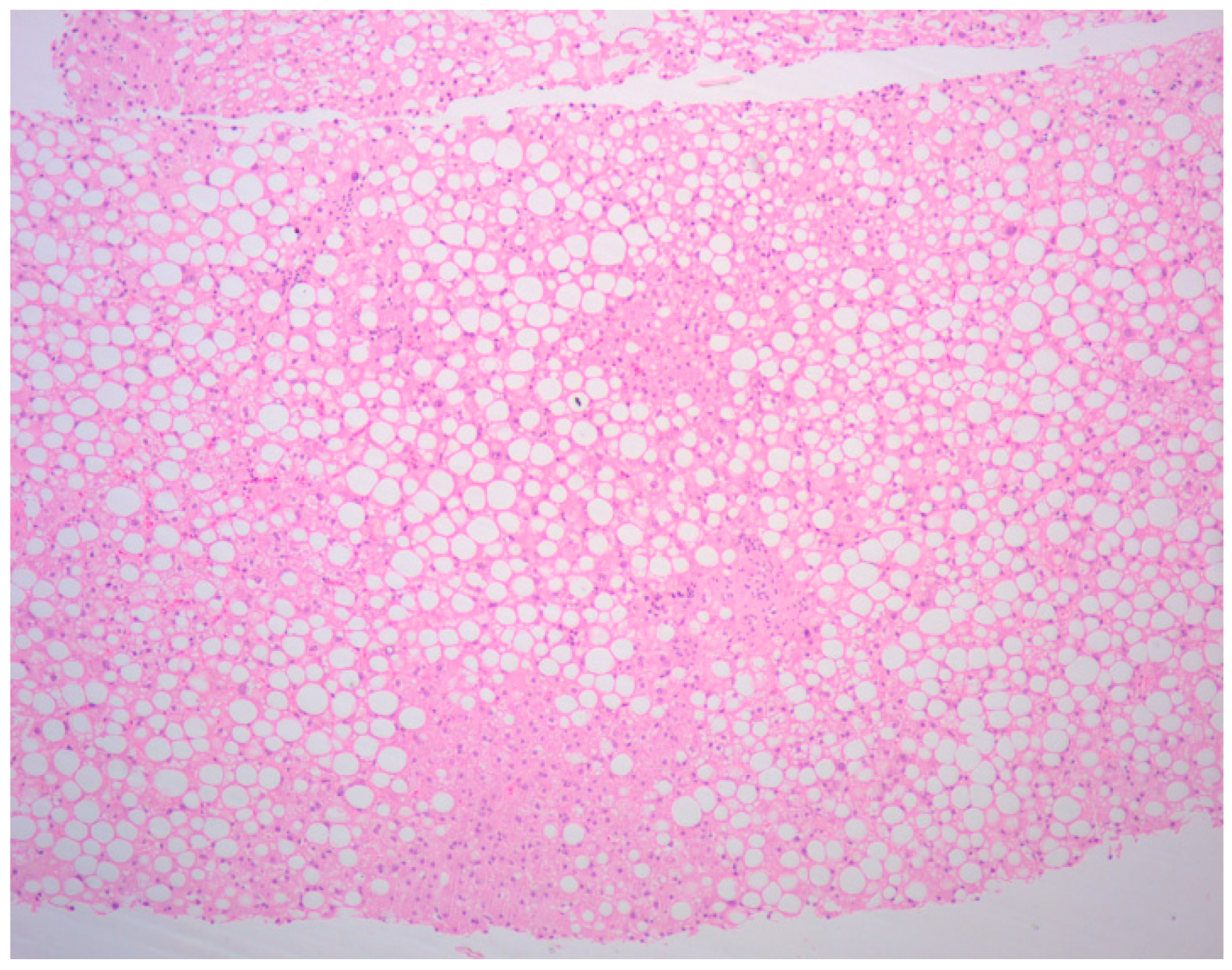 Curroncol 32 00606 g003