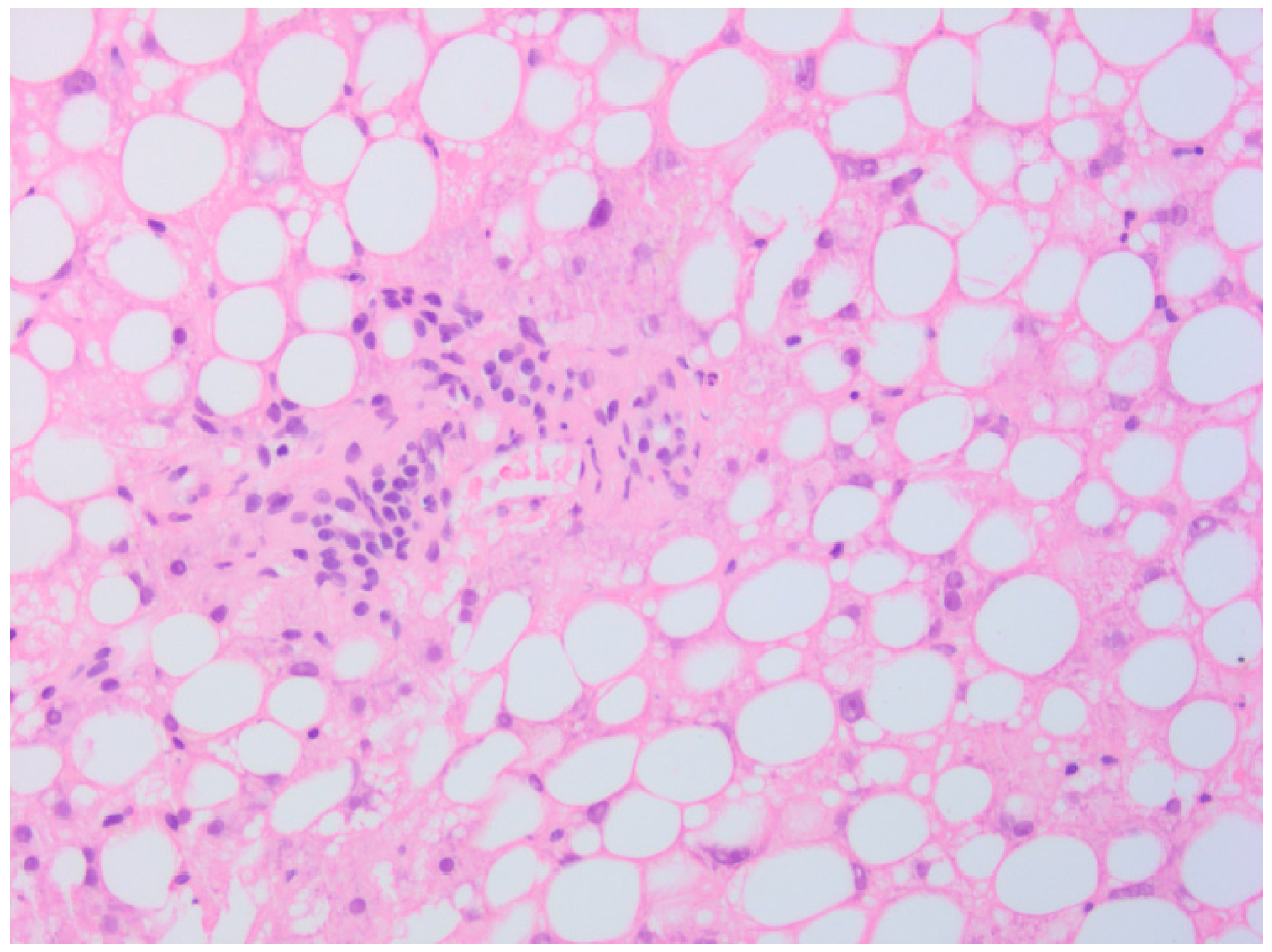 Curroncol 32 00606 g004