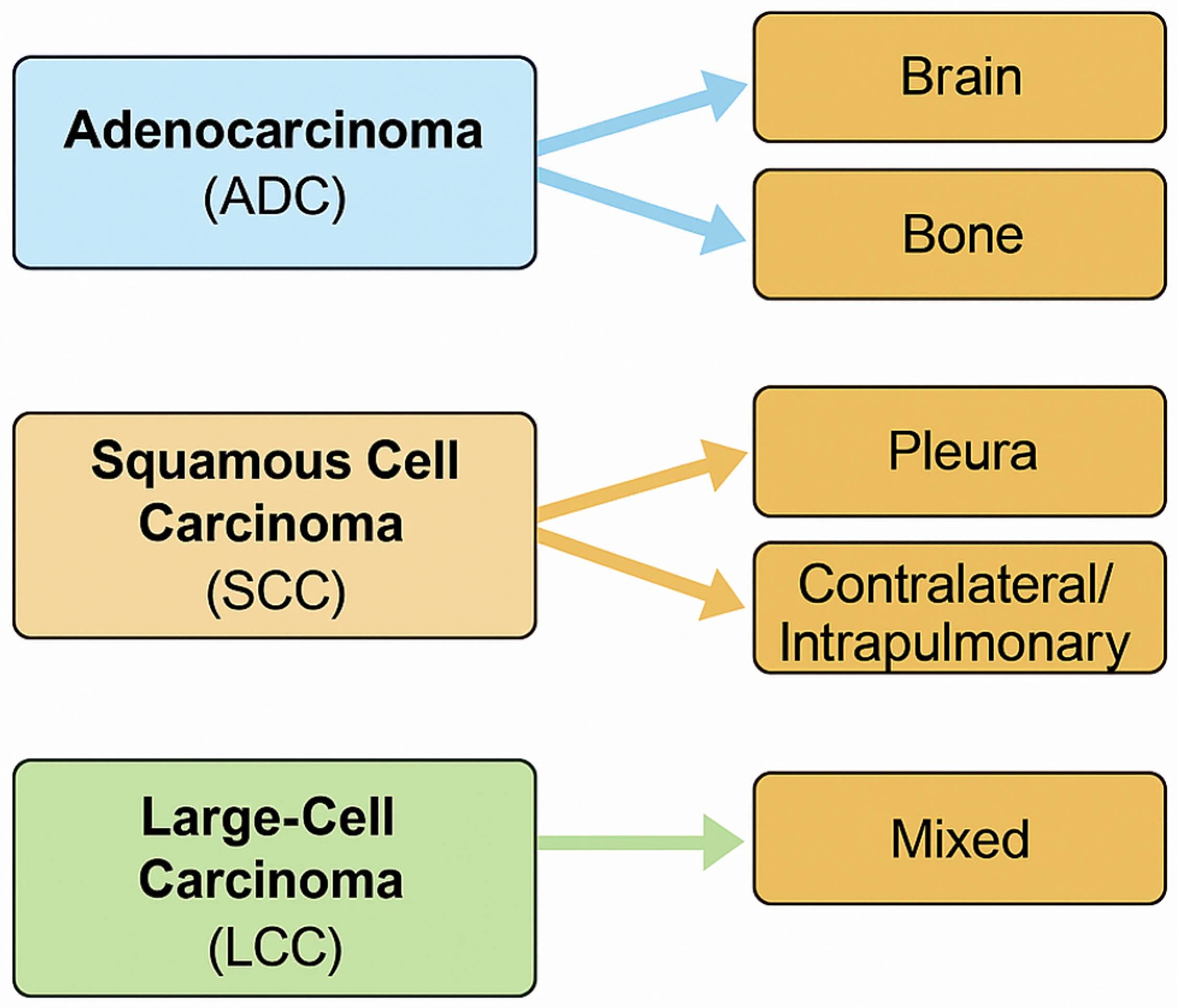 Curroncol 32 00617 g002 Curroncol 32 00617 g002