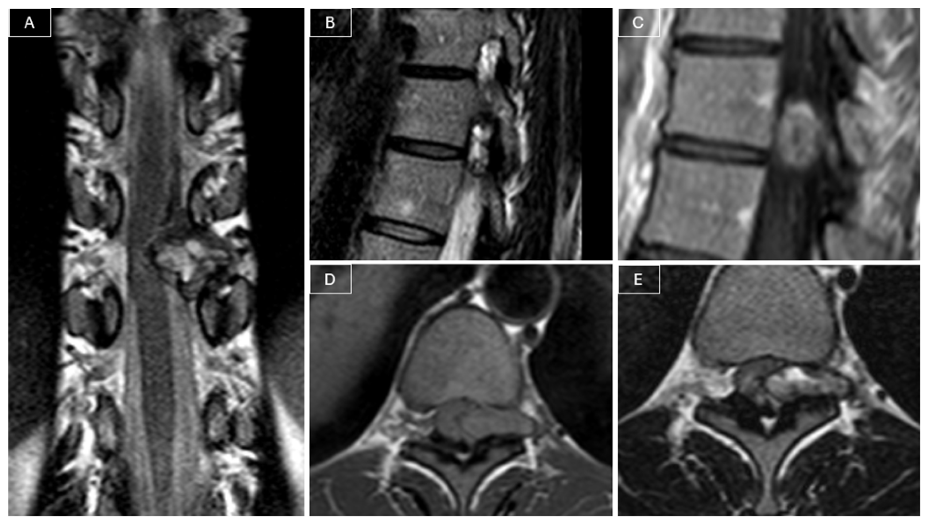 Curroncol 32 00628 g001