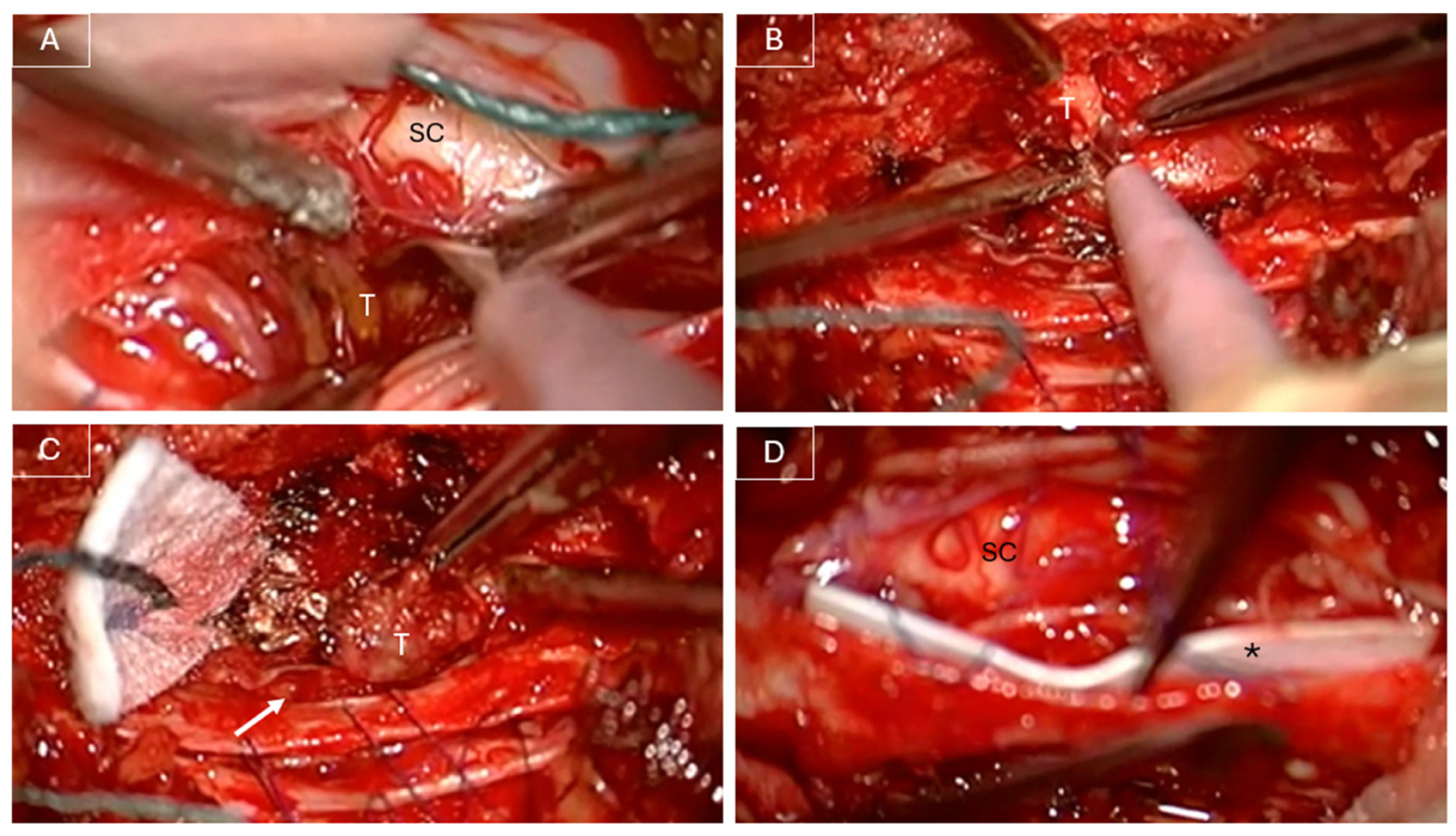 Curroncol 32 00628 g002