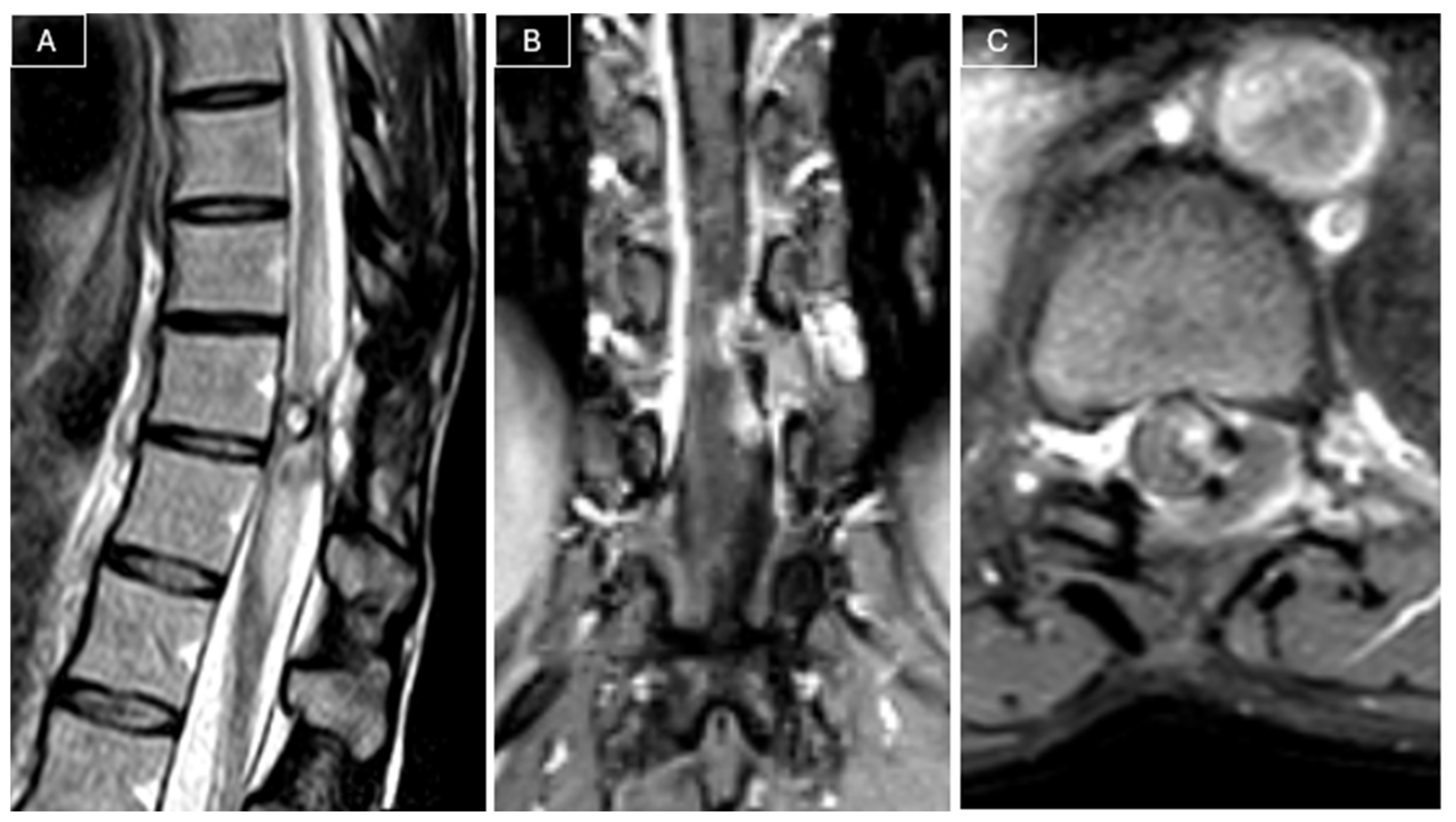 Curroncol 32 00628 g003