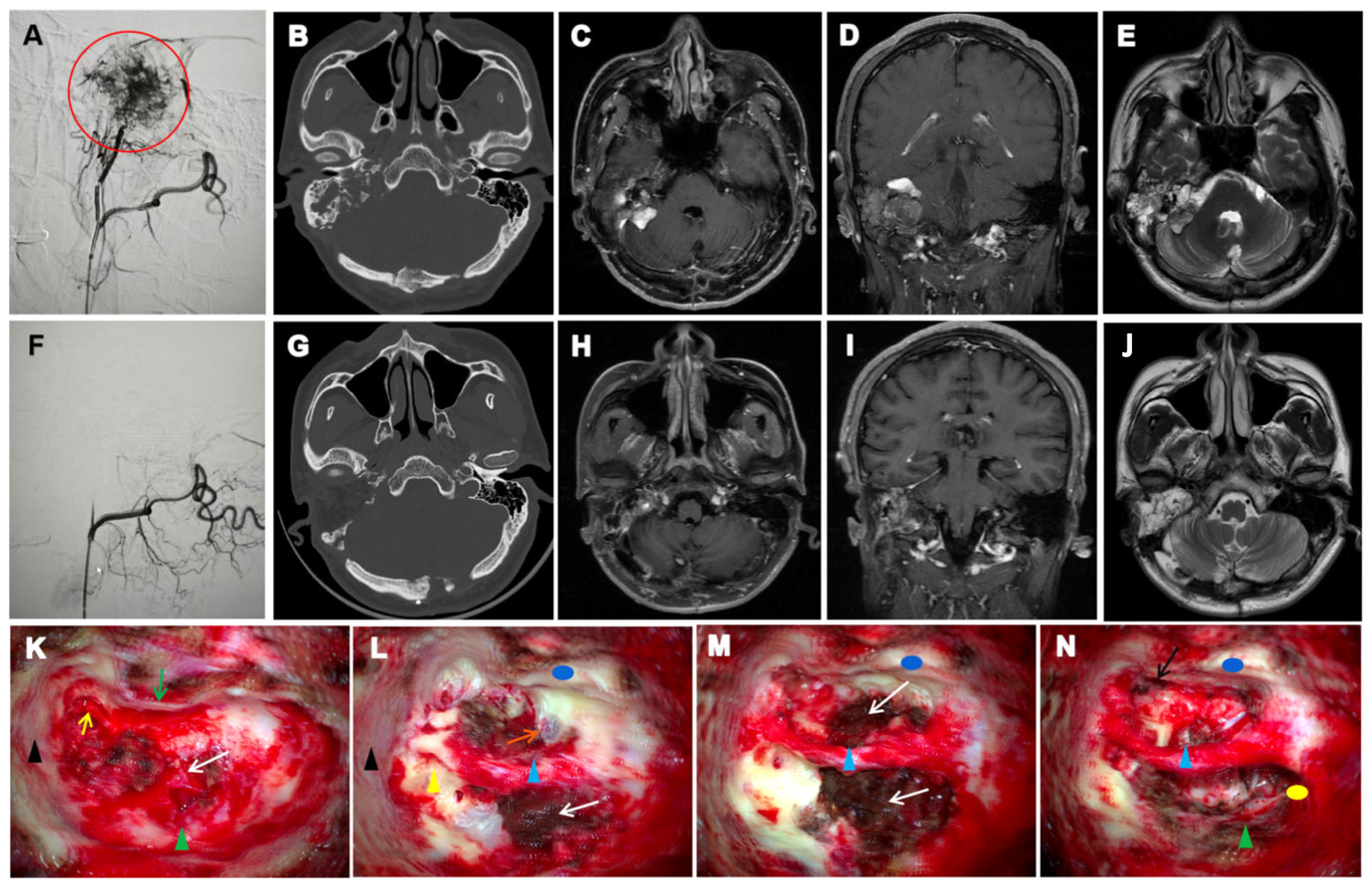 Curroncol 32 00633 g002