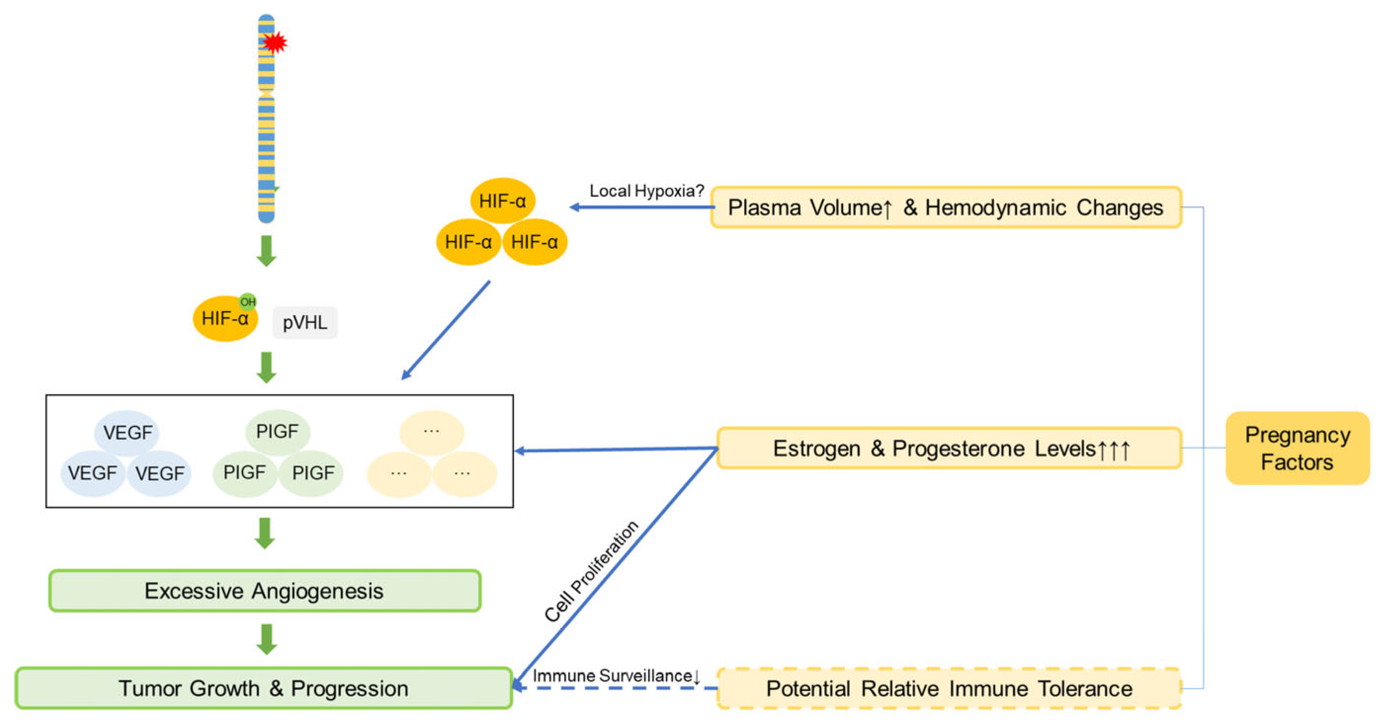 Curroncol 32 00633 g003