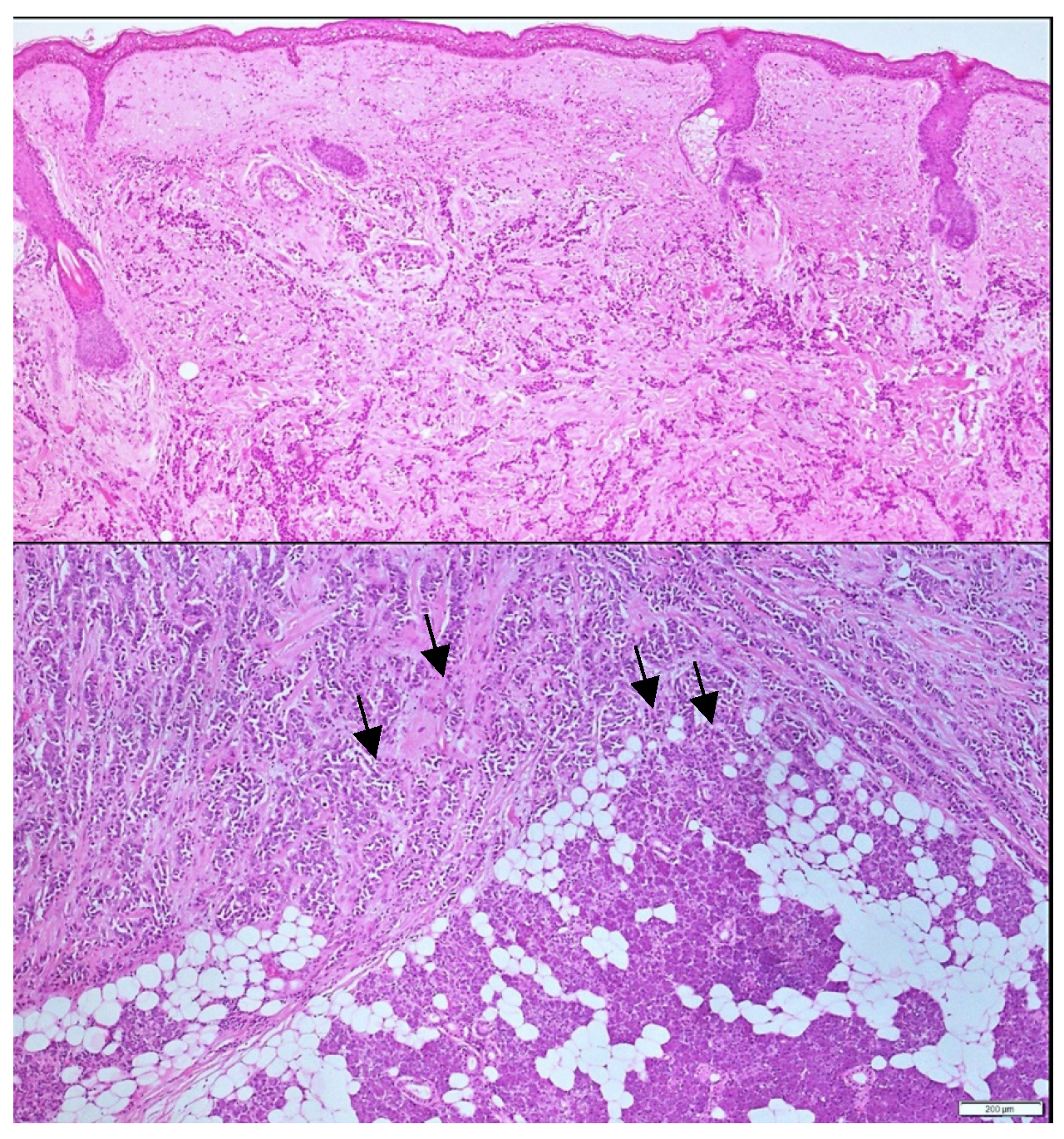 Curroncol 32 00634 g003
