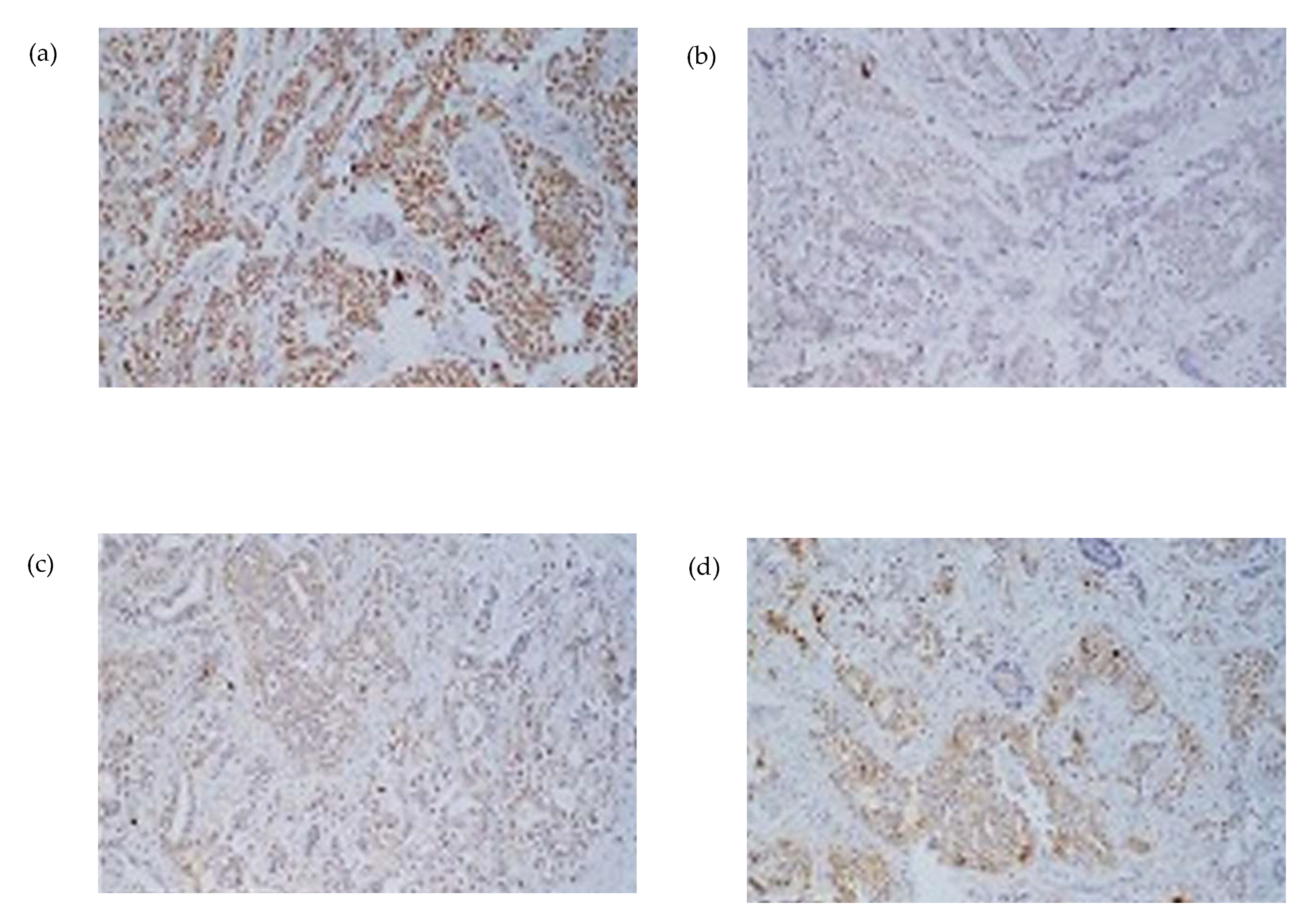 Curroncol 32 00634 g004