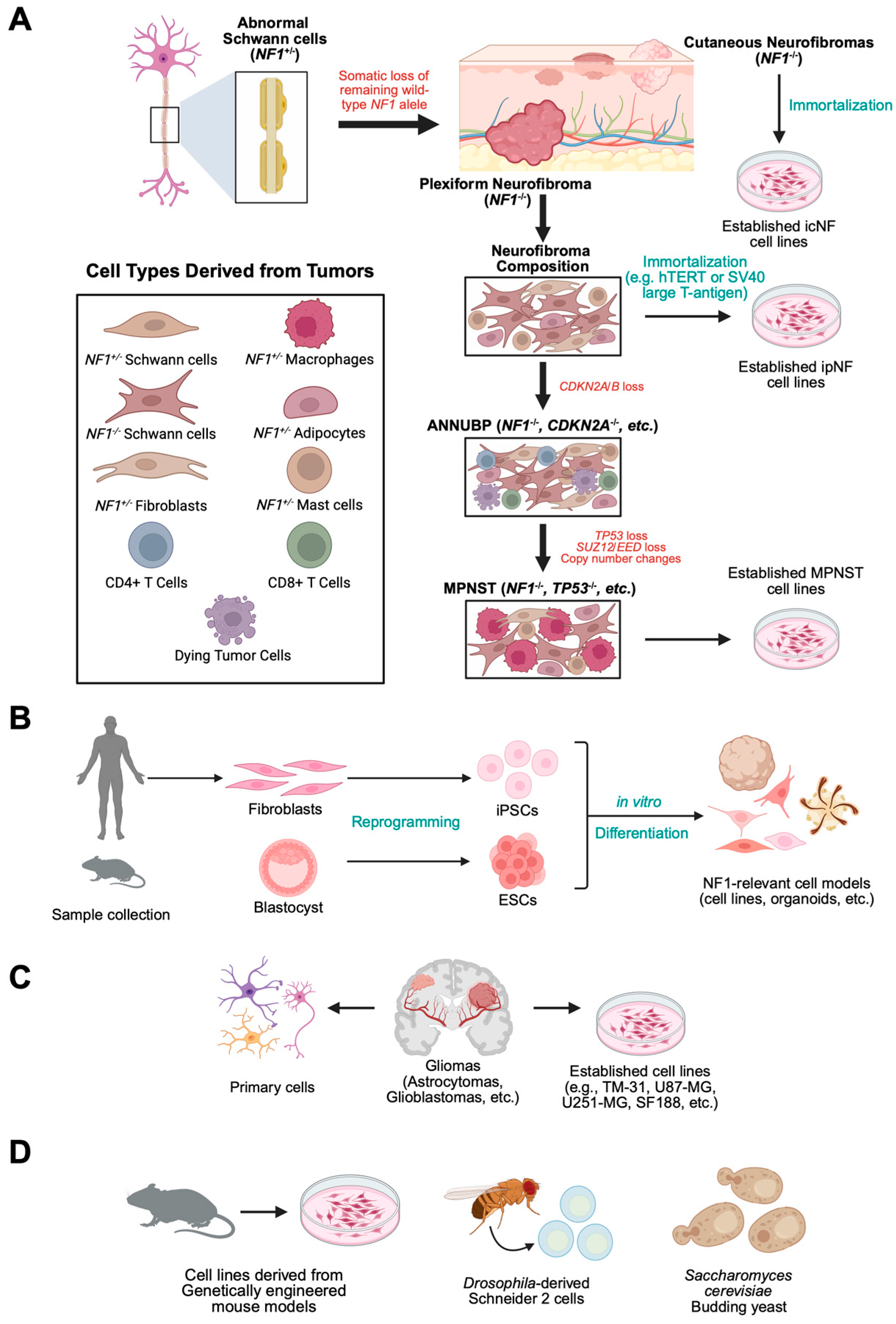 Curroncol 32 00649 g003