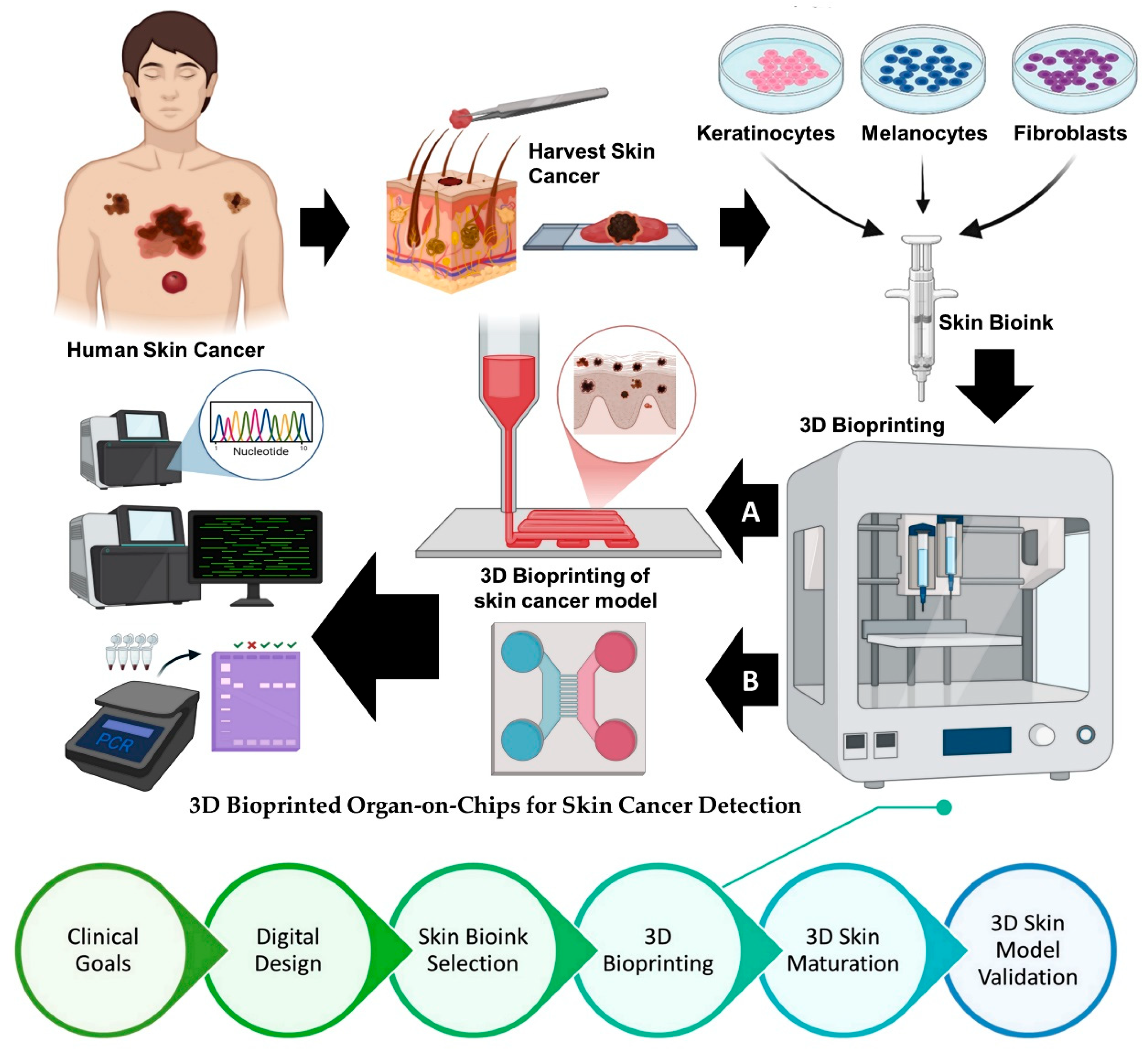 Curroncol 32 00653 g002
