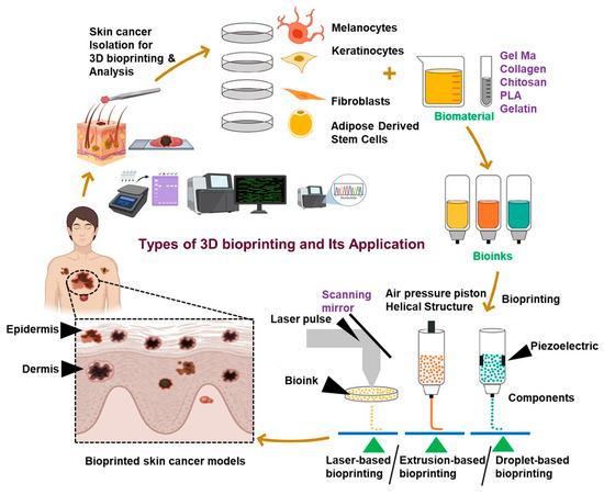 High-Throughput 3D Bioprinted Organoids of Skin Cancer Utilized