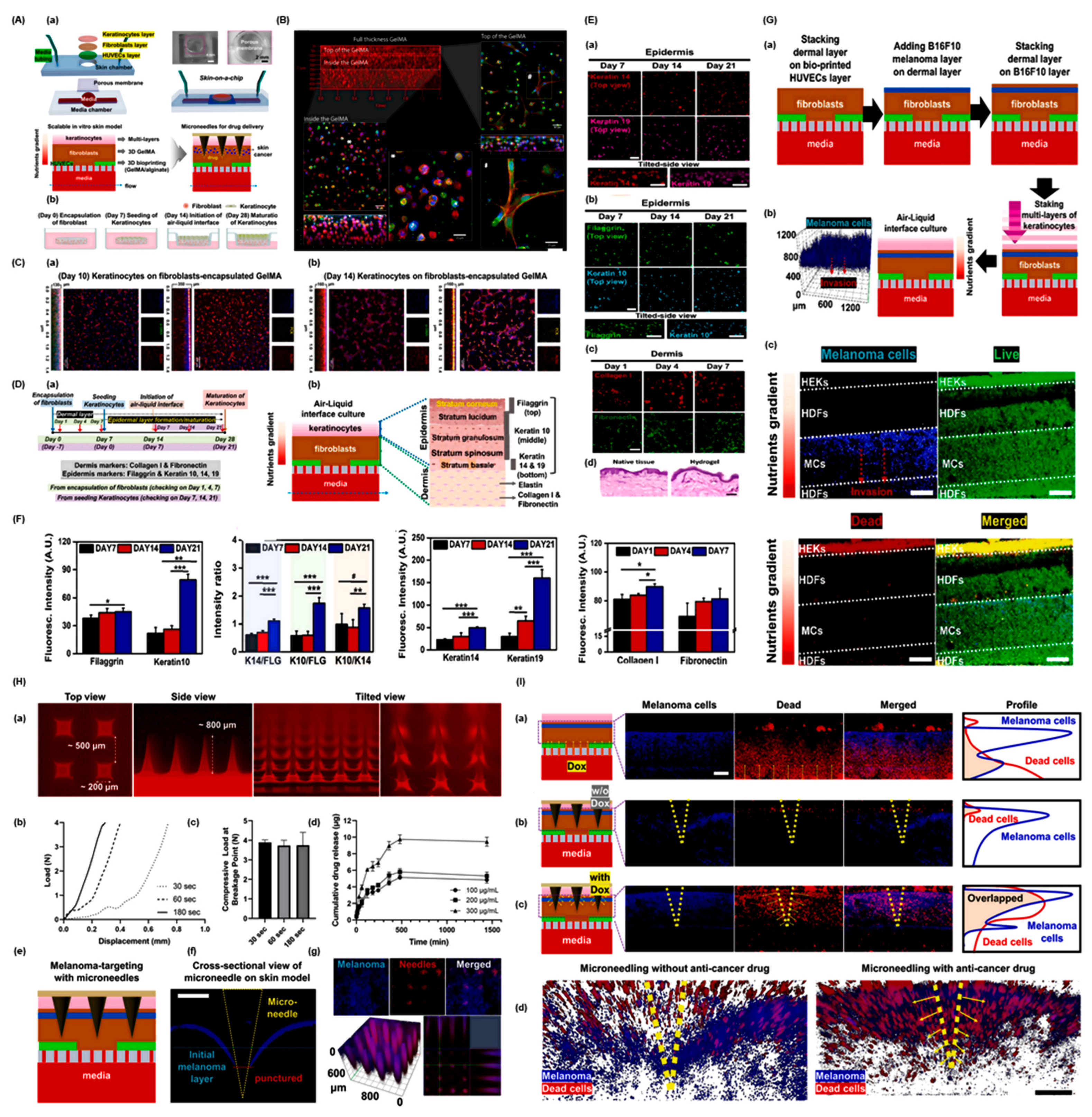 Curroncol 32 00653 g004