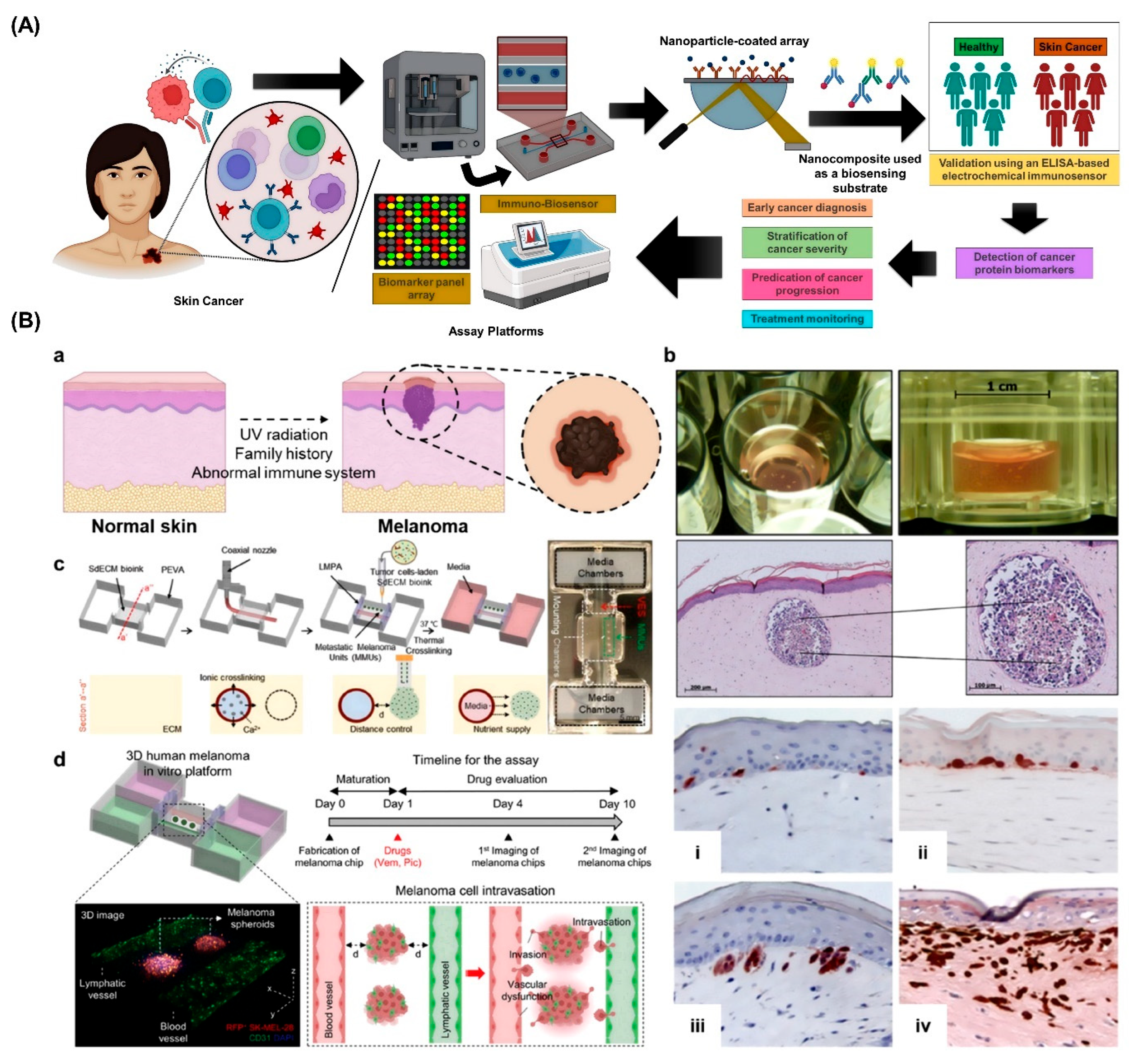 Curroncol 32 00653 g005