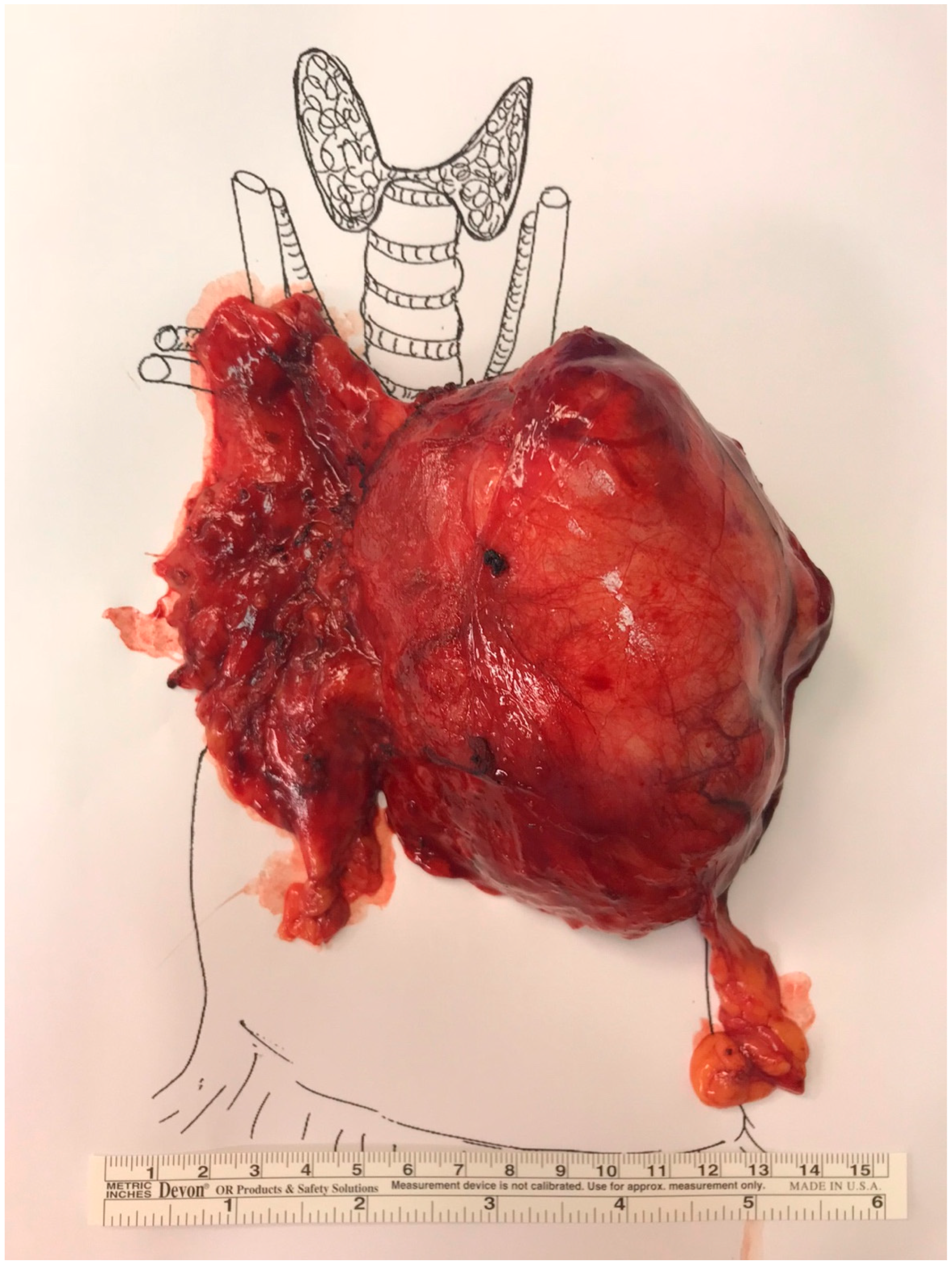 Curroncol 32 00662 g002