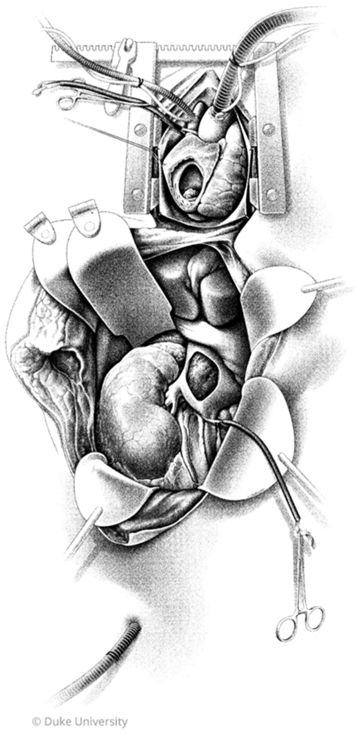 Curroncol 32 00671 g001 Curroncol 32 00671 g001