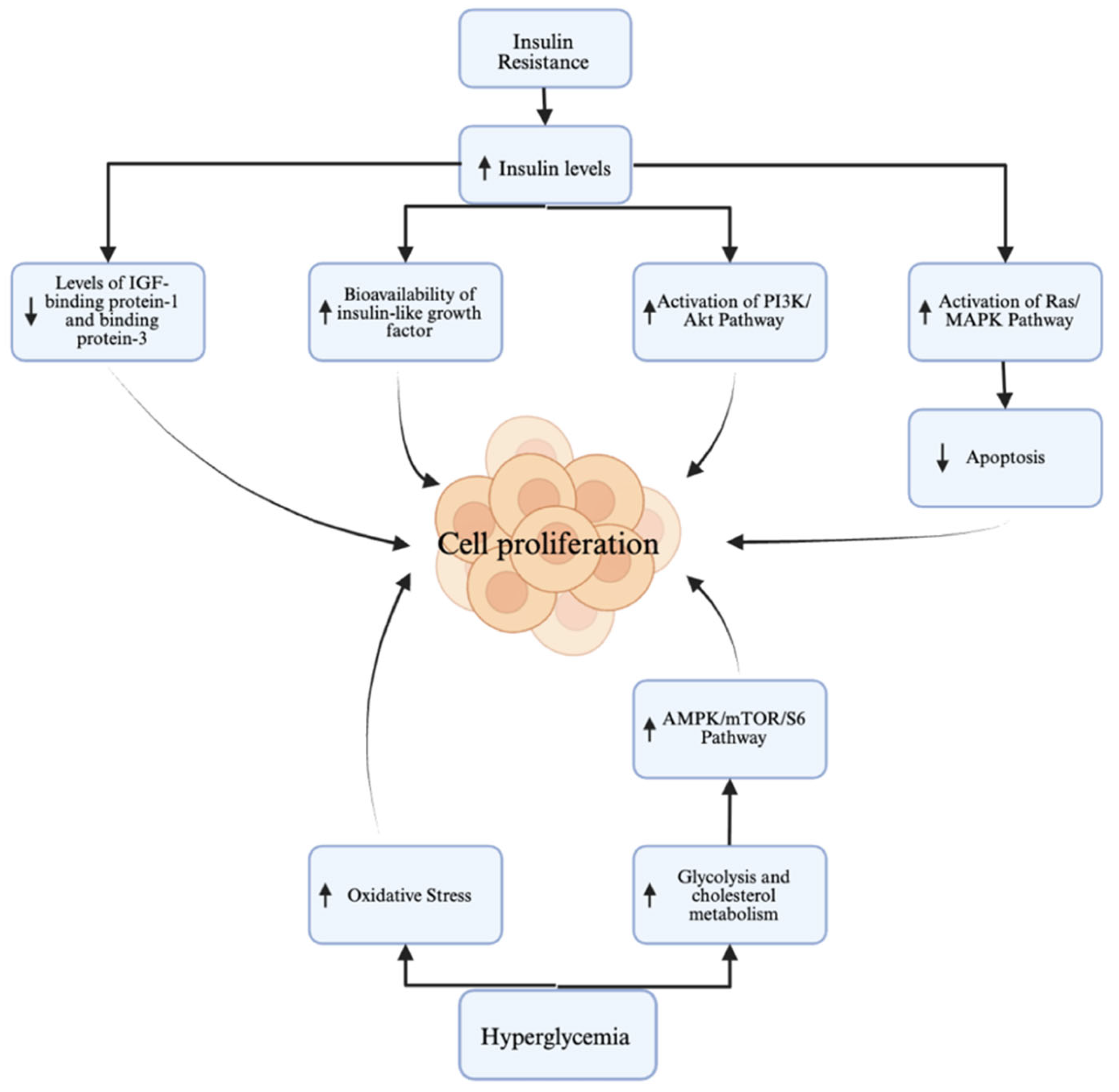 Curroncol 32 00672 g001