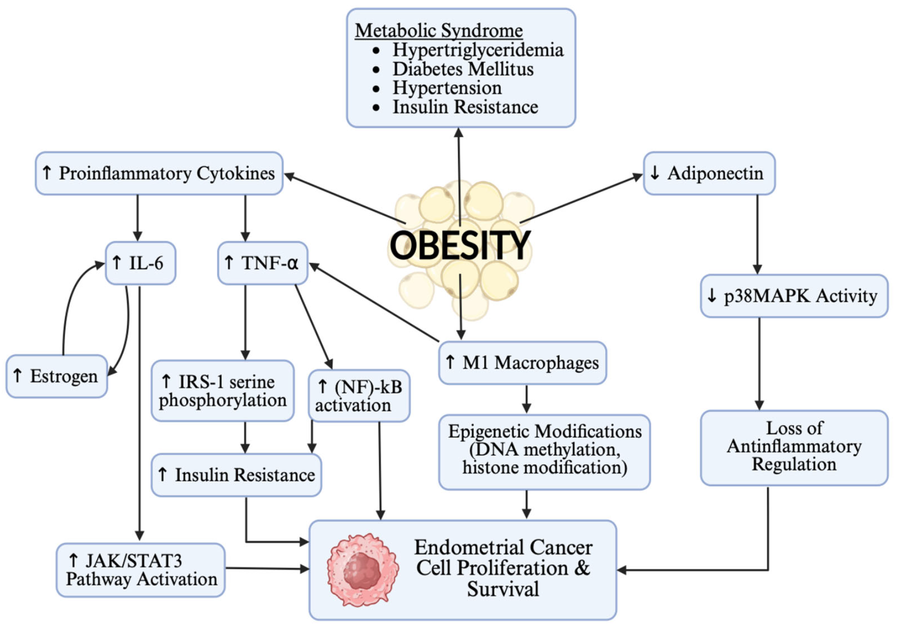 Curroncol 32 00672 g002
