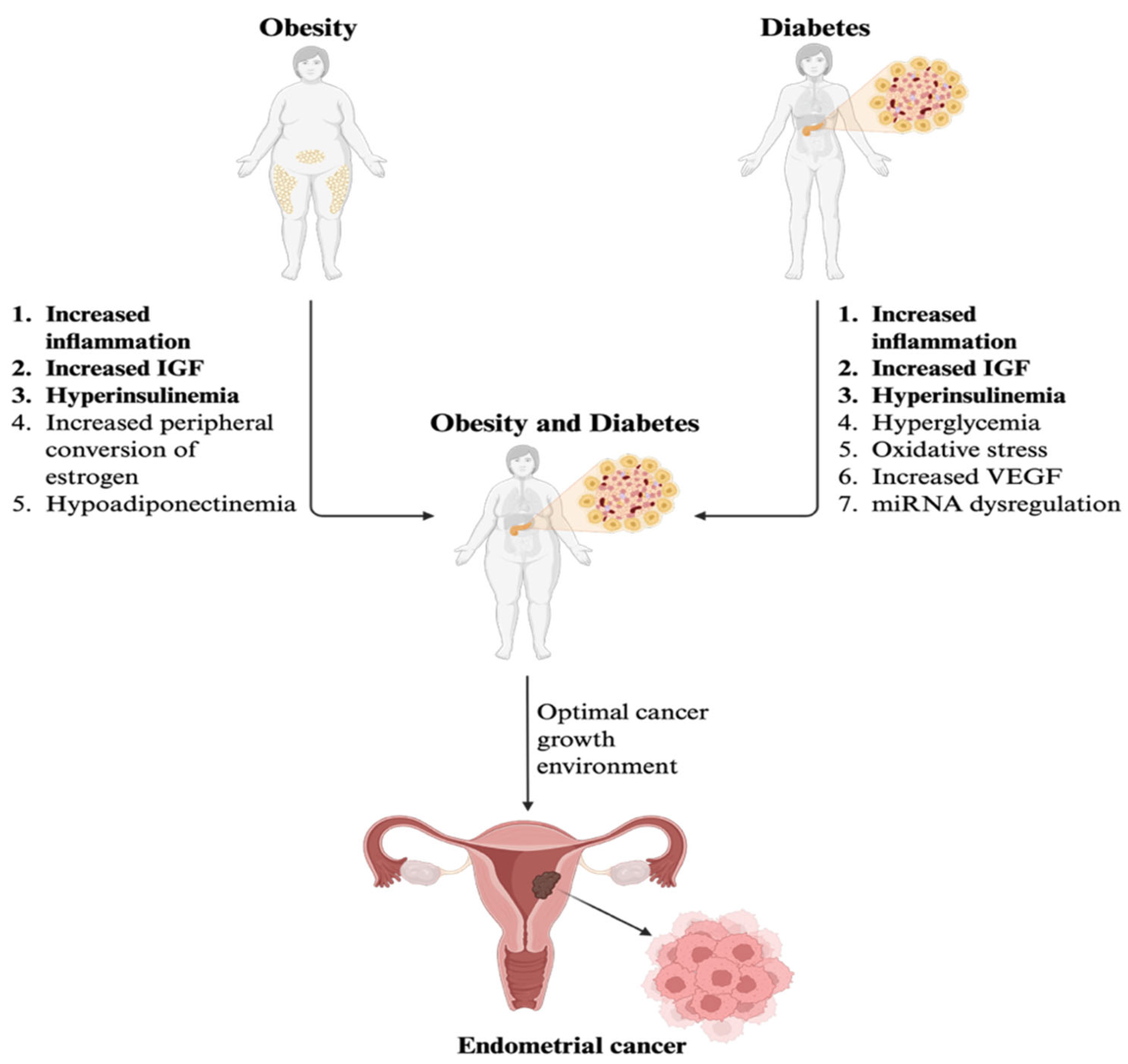 Curroncol 32 00672 g003