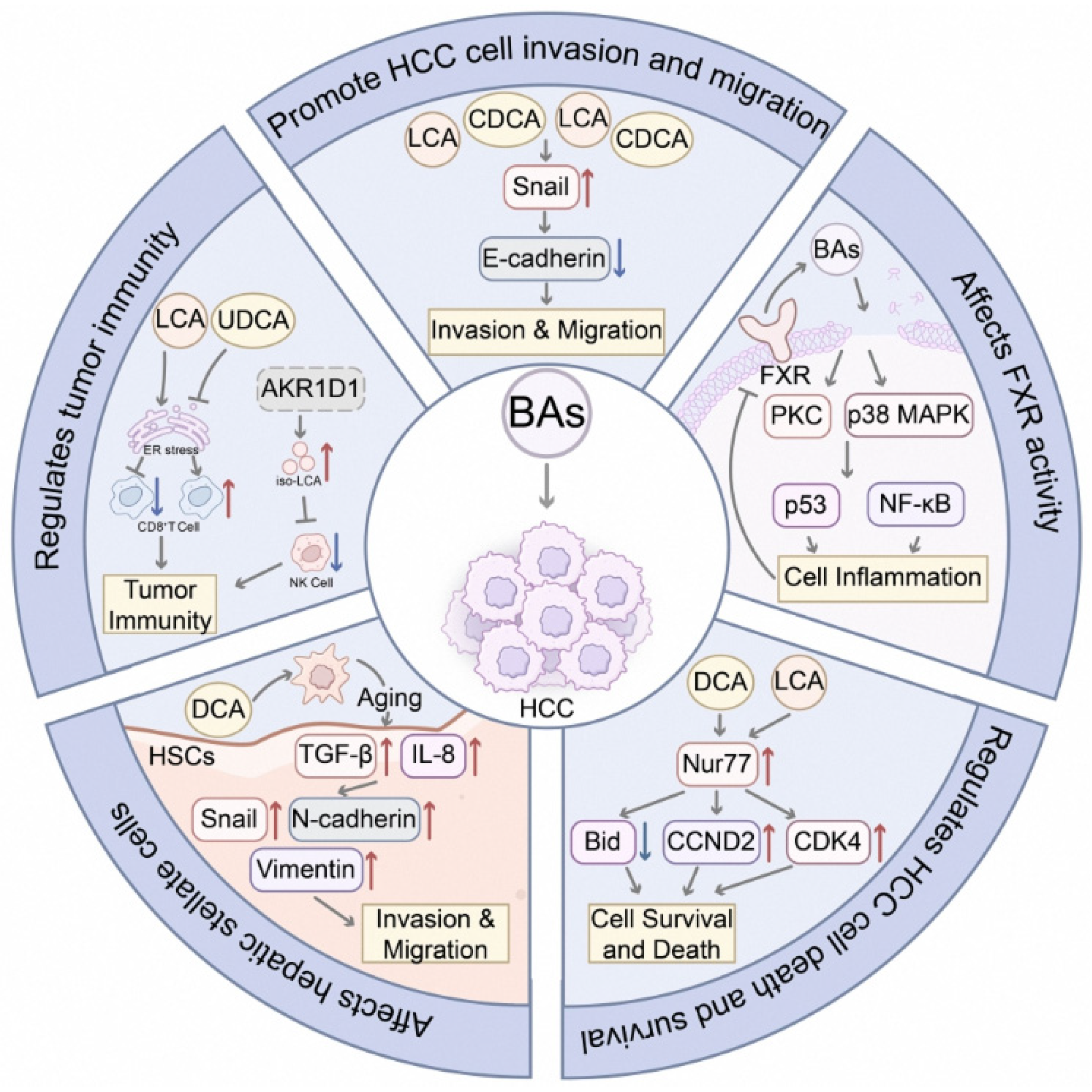 Curroncol 32 00673 g001 Curroncol 32 00673 g001