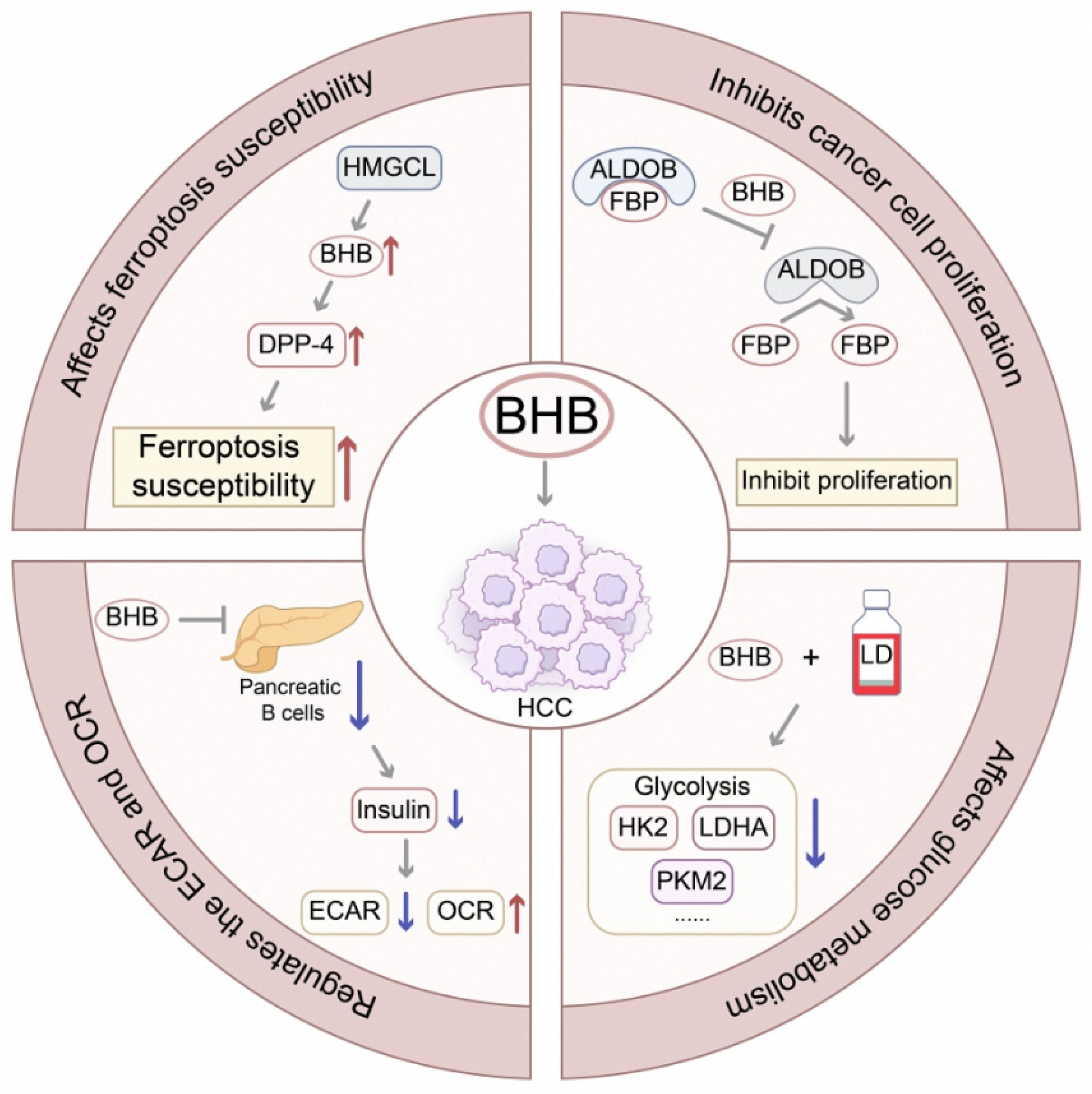 Curroncol 32 00673 g002 Curroncol 32 00673 g002