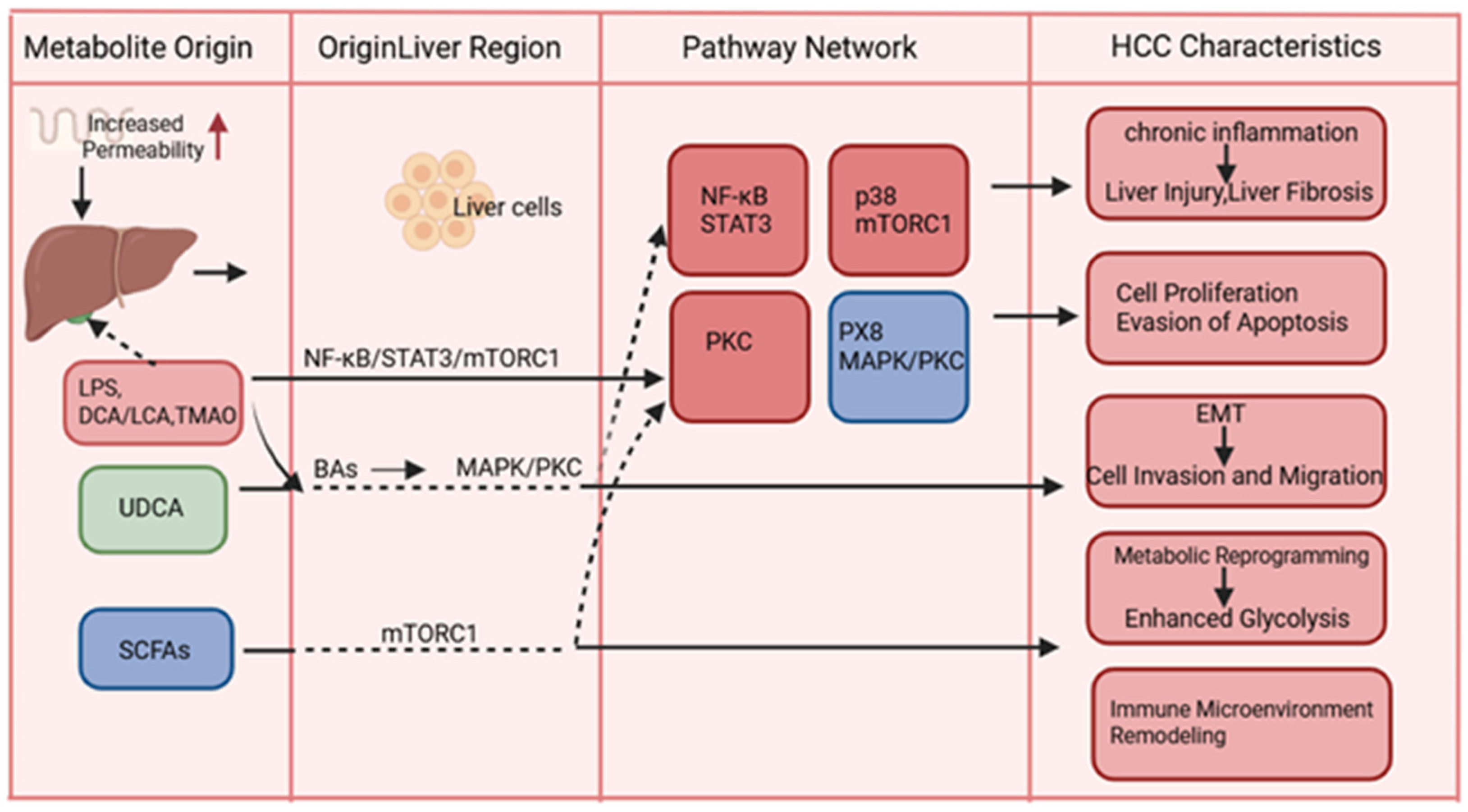 Curroncol 32 00673 g003 Curroncol 32 00673 g003