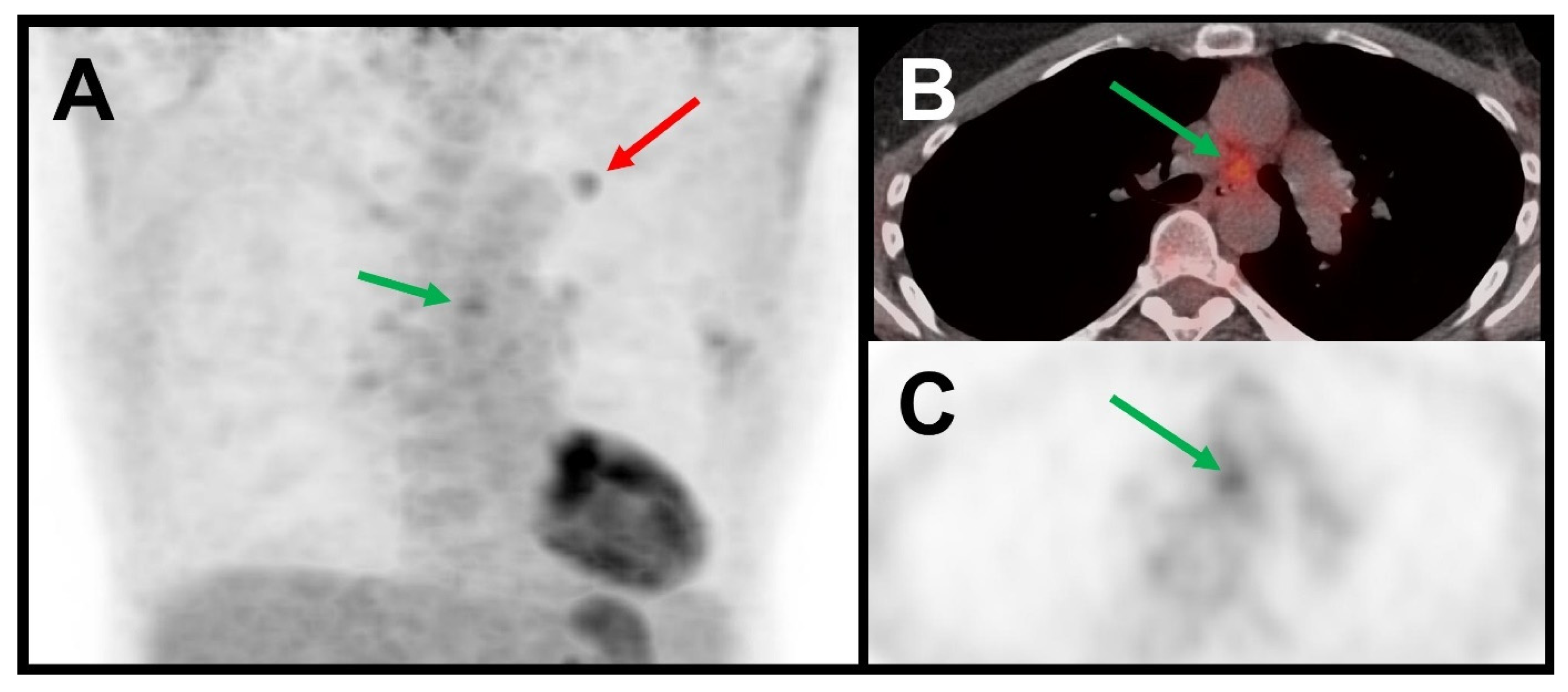 Curroncol 32 00679 g002 Curroncol 32 00679 g002