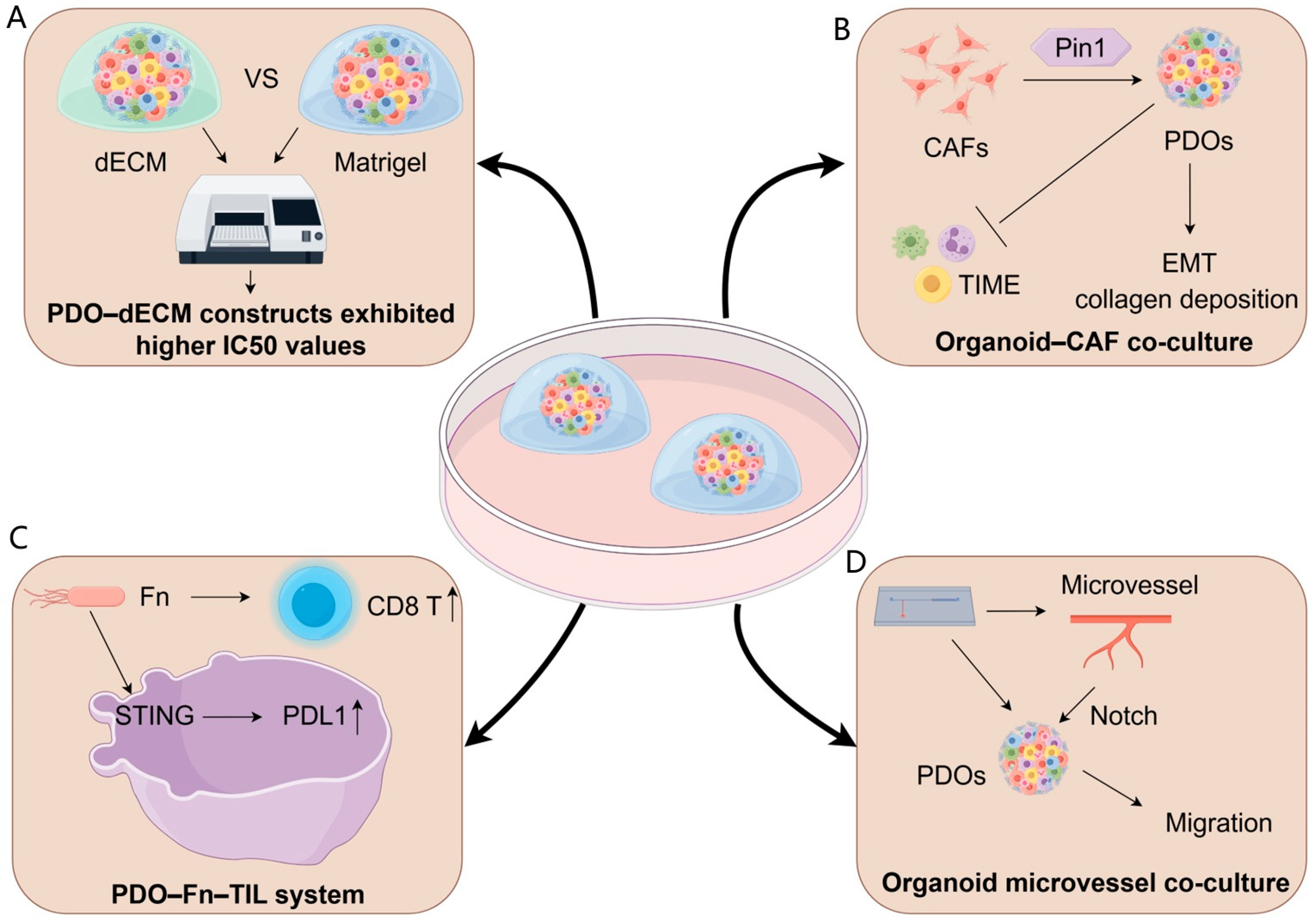 Curroncol 32 00680 g001