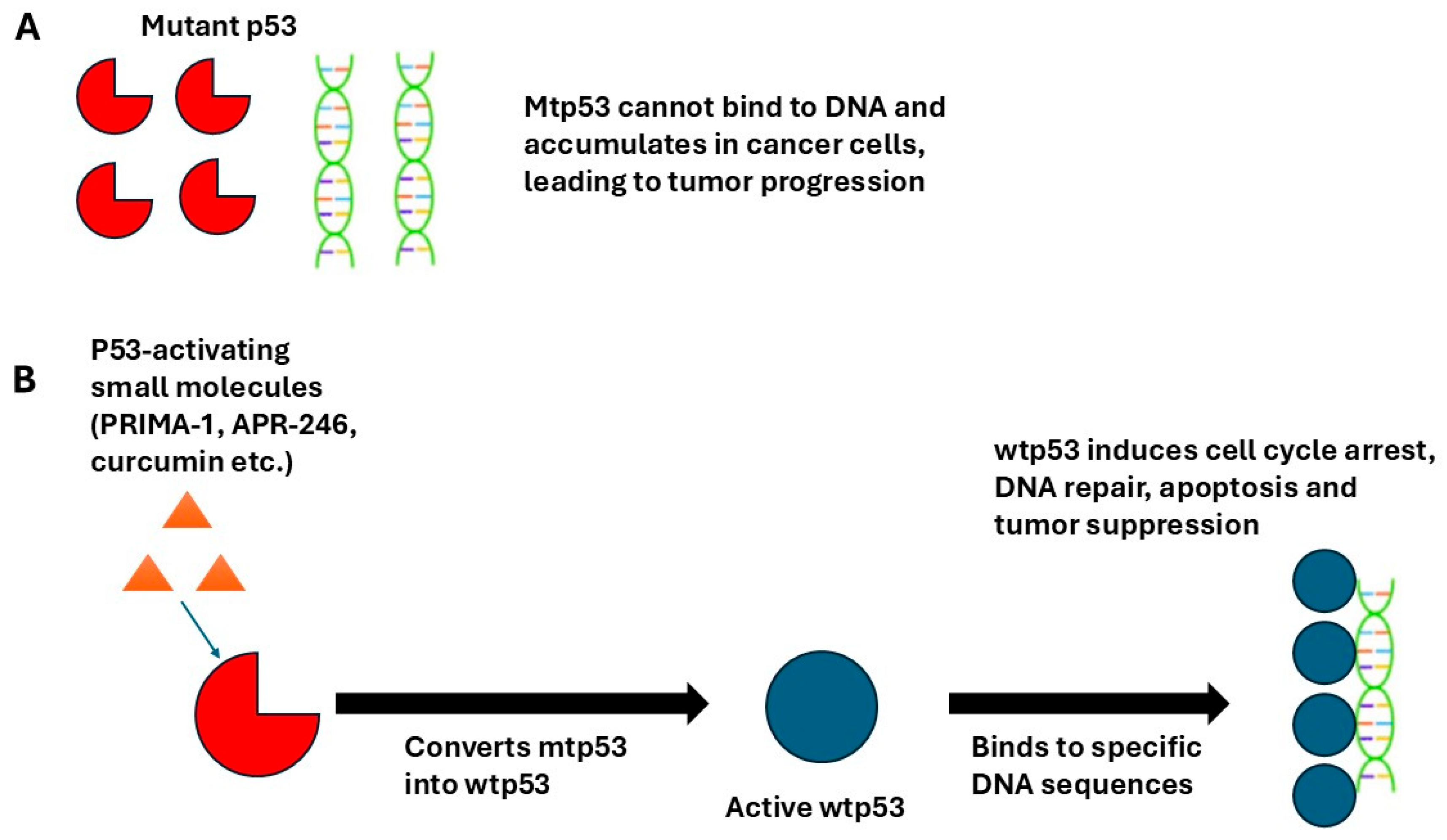 Curroncol 32 00684 g002 Curroncol 32 00684 g002