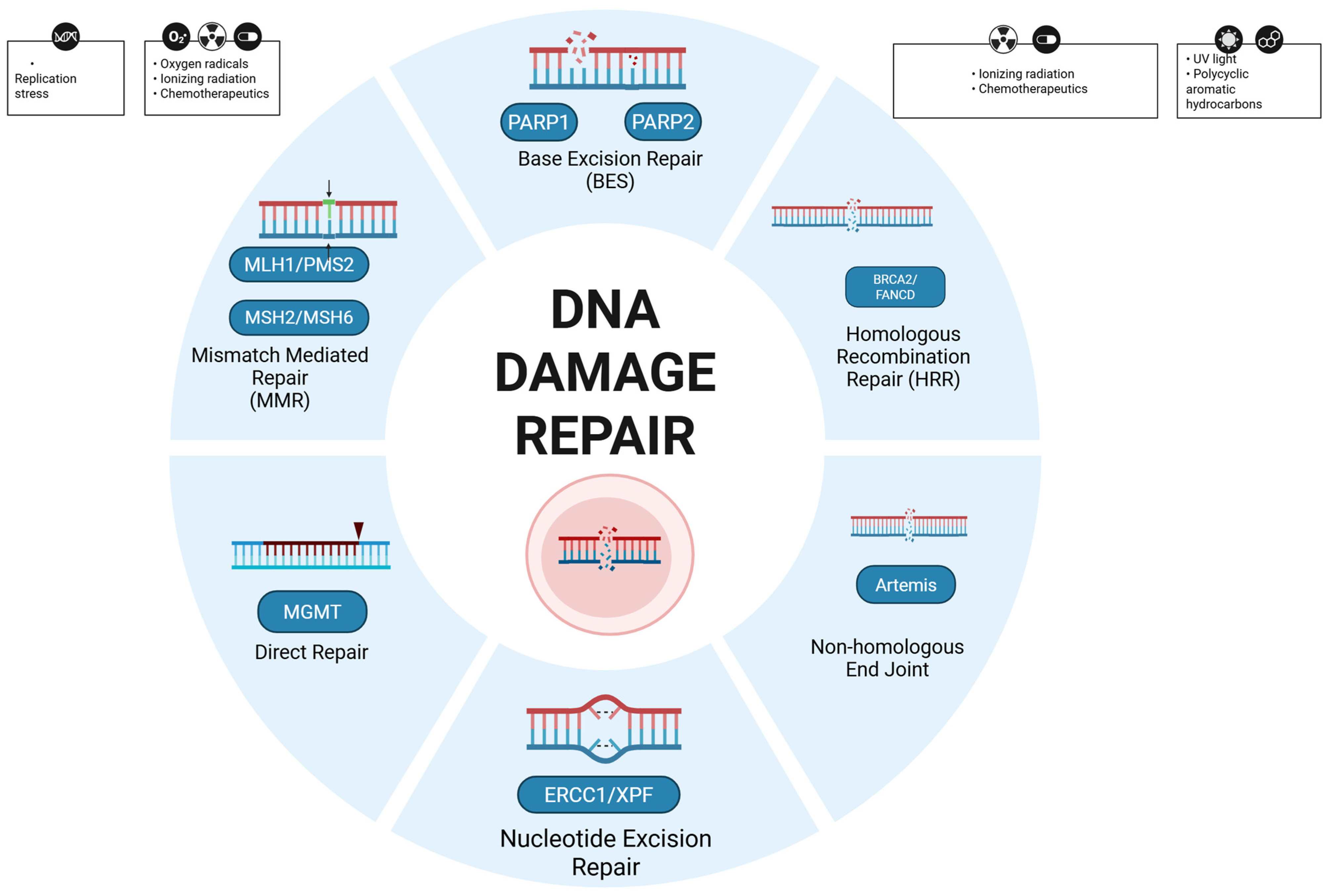 Curroncol 32 00690 g001 Curroncol 32 00690 g001