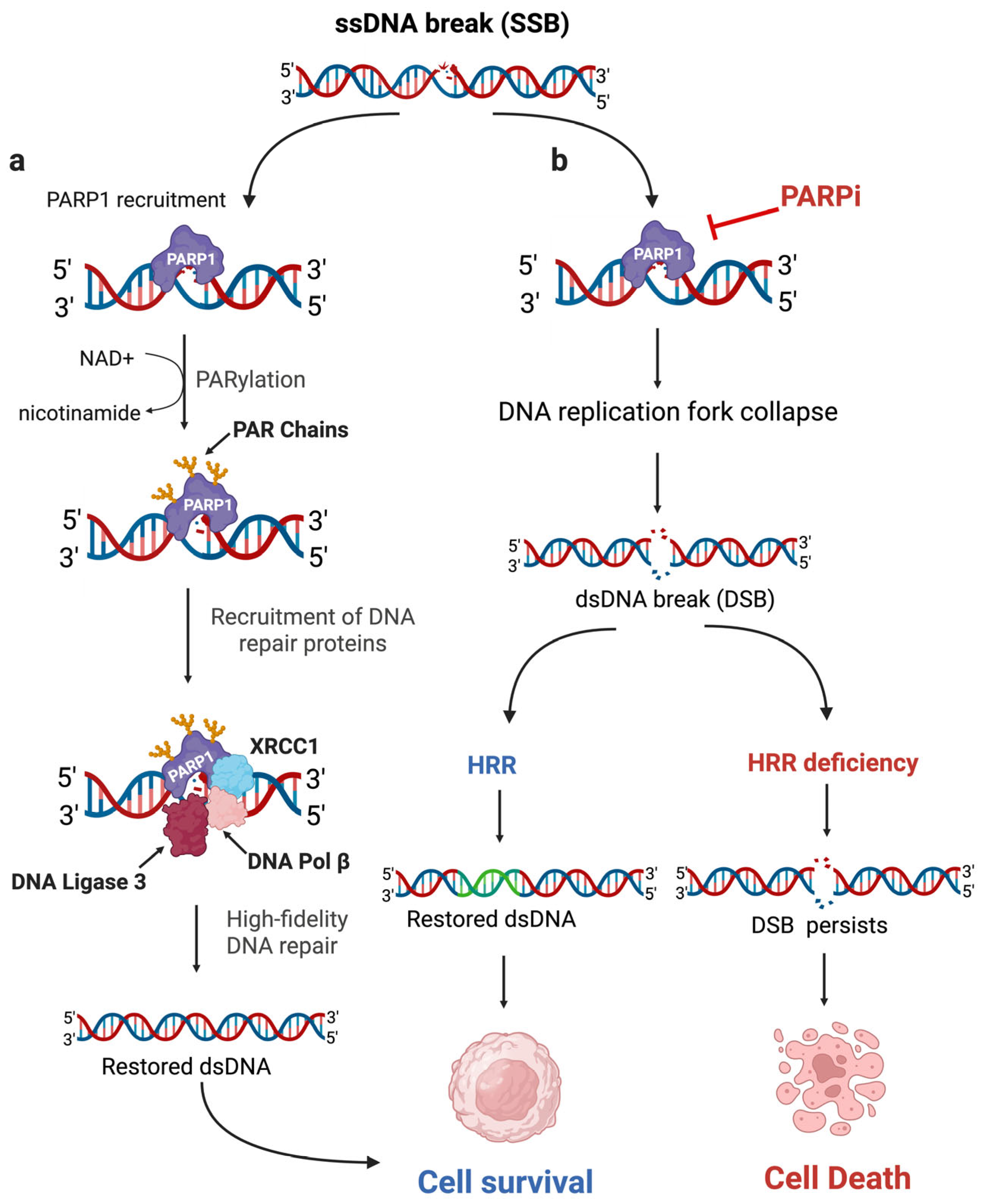 Curroncol 32 00692 g001 Curroncol 32 00692 g001