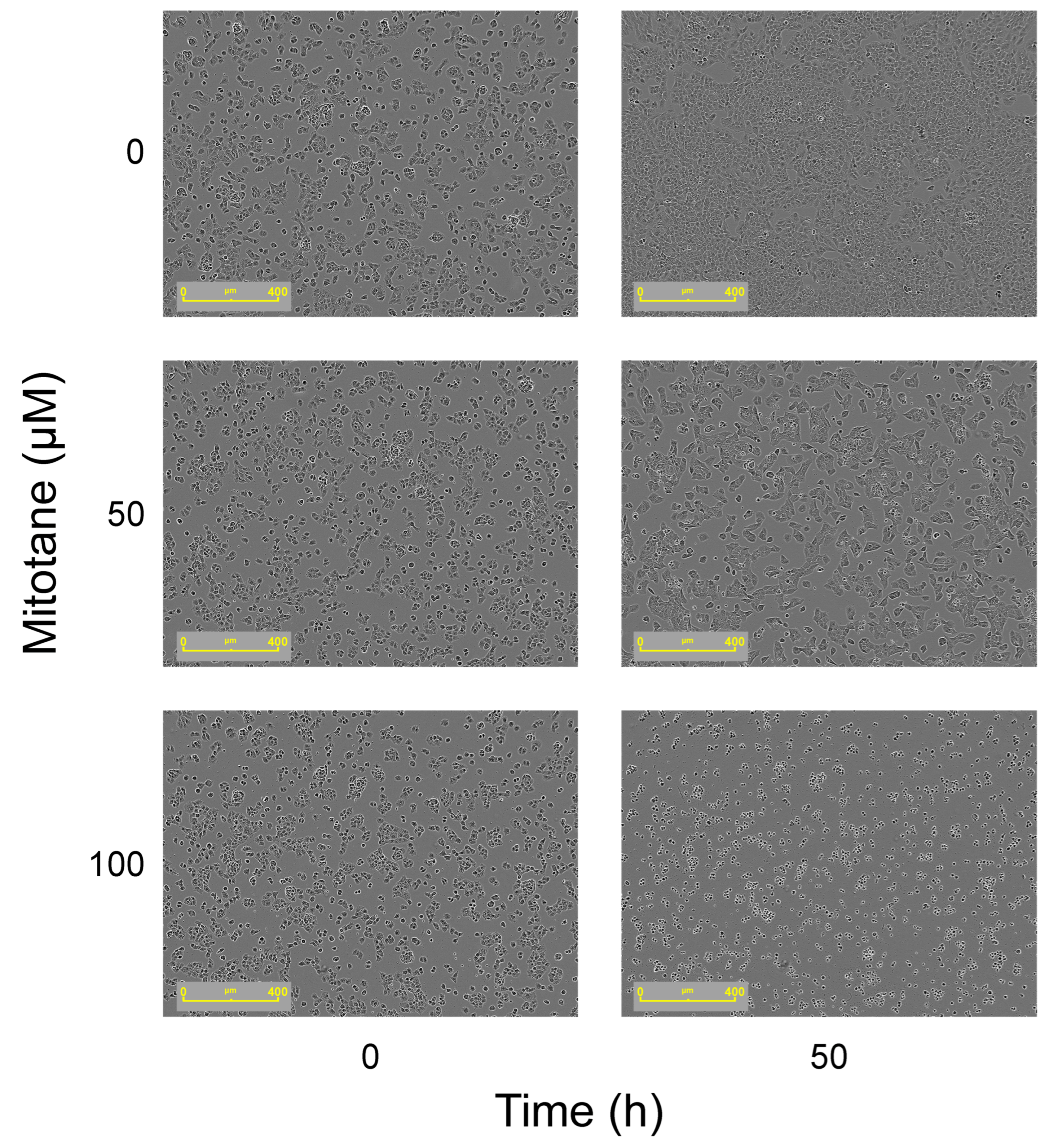 Curroncol 32 00700 g003 Curroncol 32 00700 g003