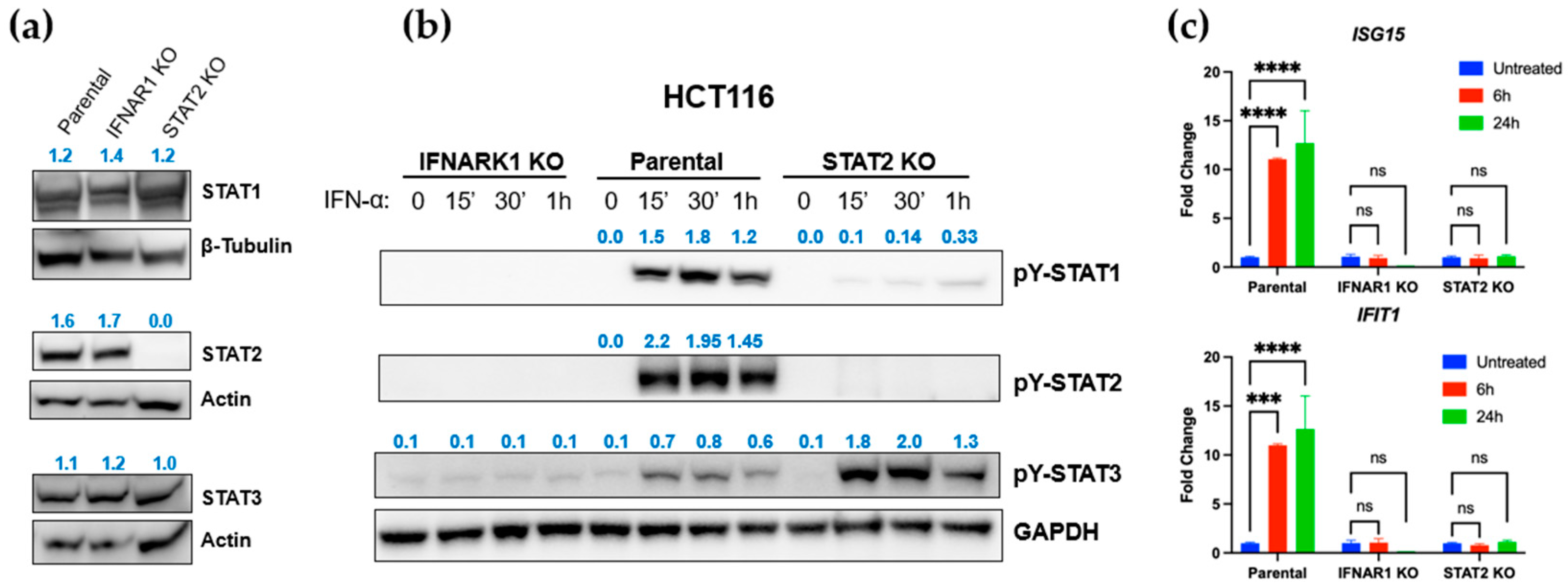 Curroncol 32 00707 g002